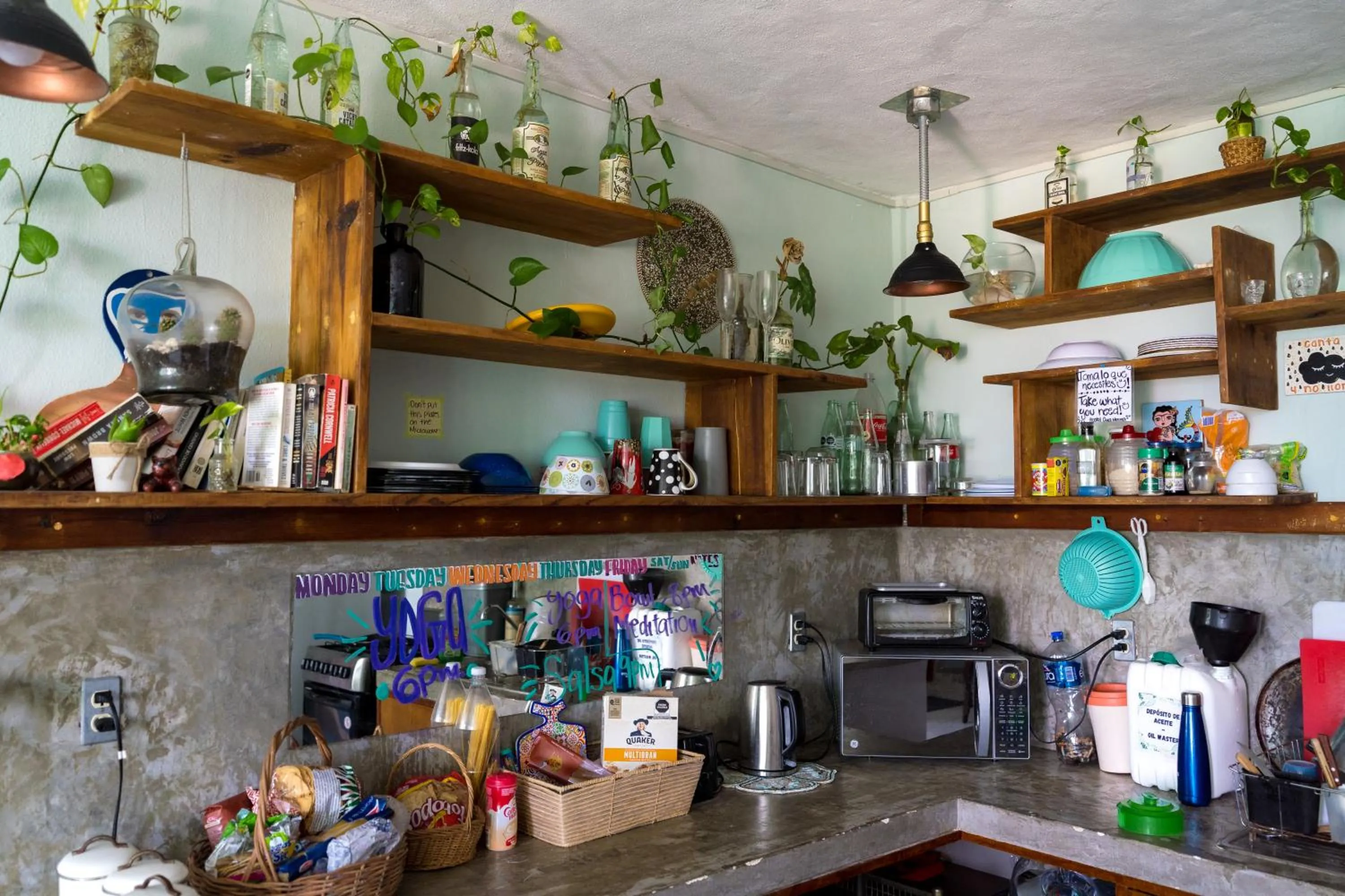 Communal kitchen in Hostal Cuca Macuca