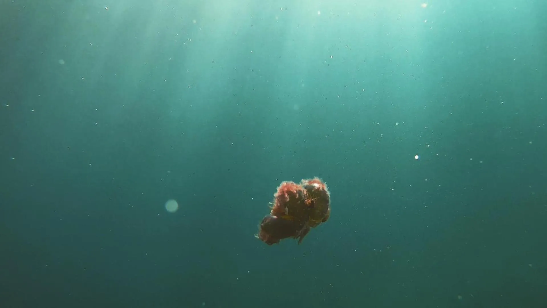 Neighbourhood in Hostal Cuca Macuca