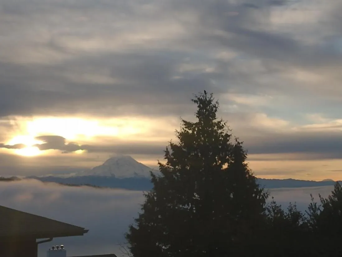 View (from property/room) in Villa Luna