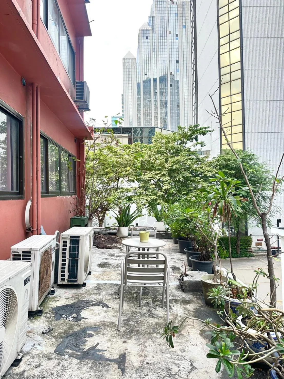 Garden in Studio F Sukhumvit
