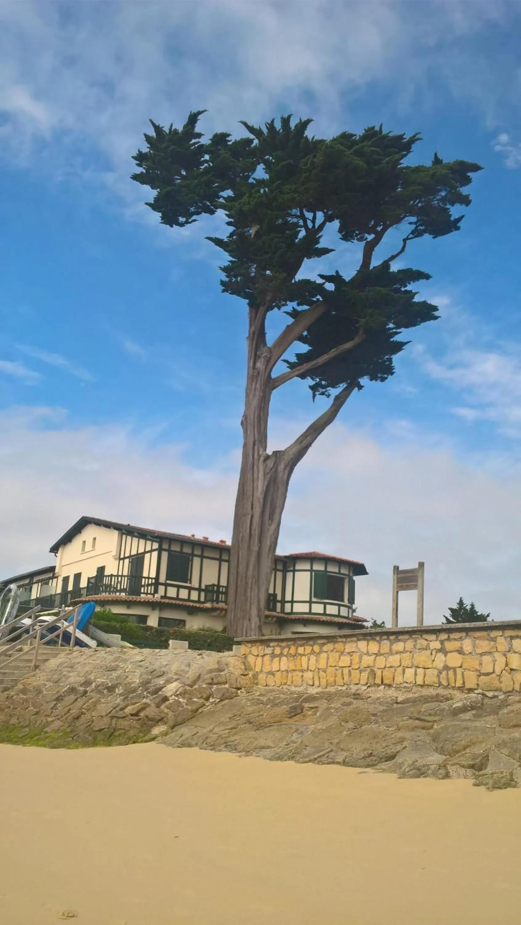 Activities in Les Calicots Sanguinet