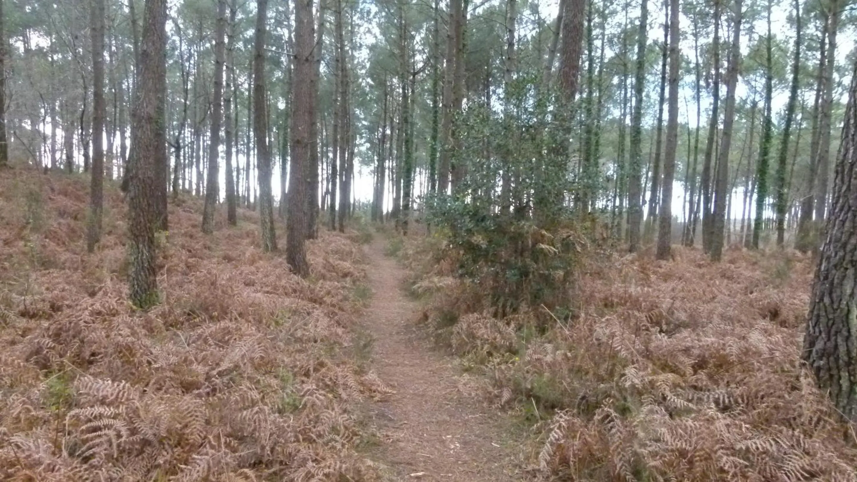 Activities in Les Calicots Sanguinet