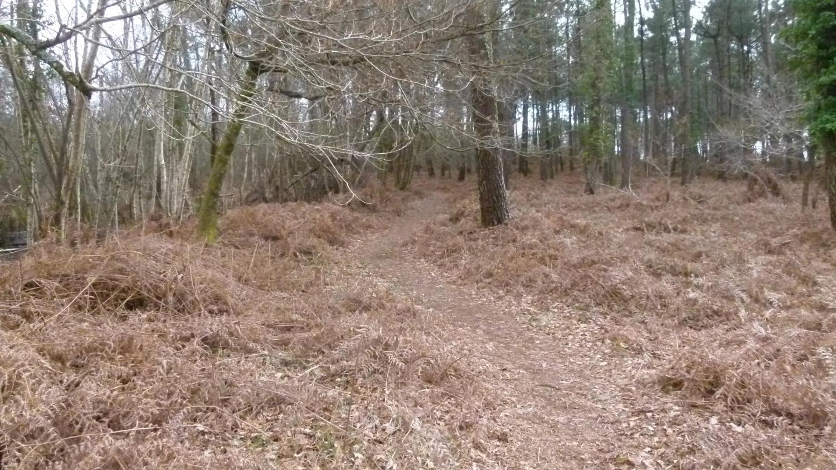 Activities in Les Calicots Sanguinet