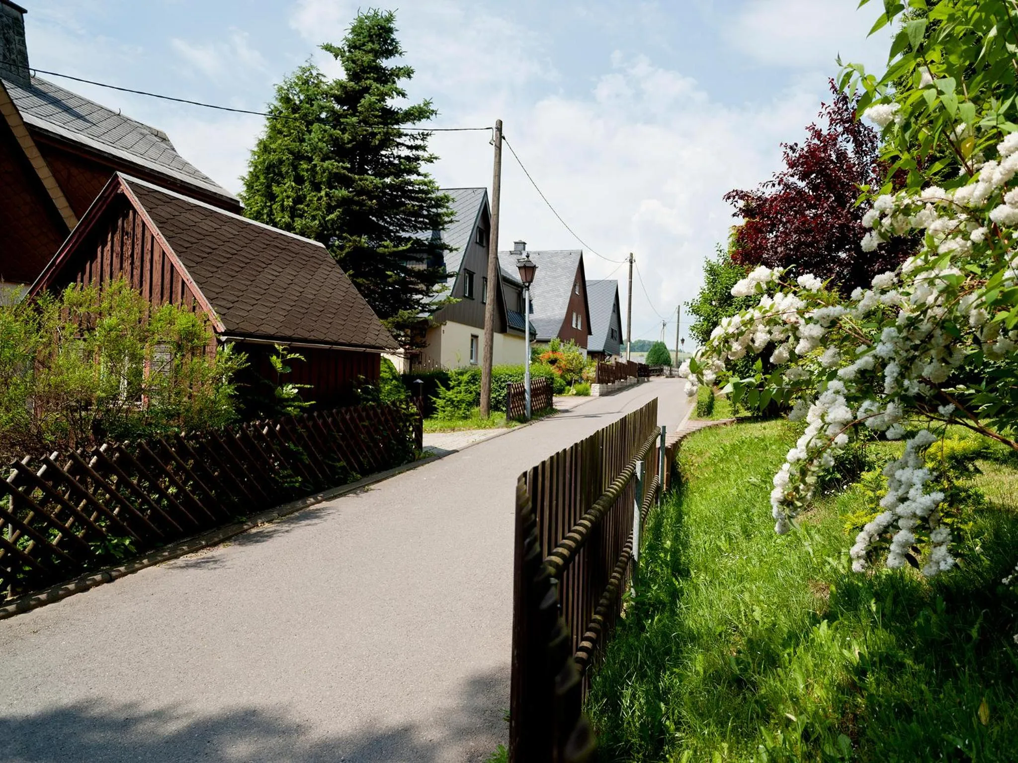 Area and facilities in Hotel Sonne