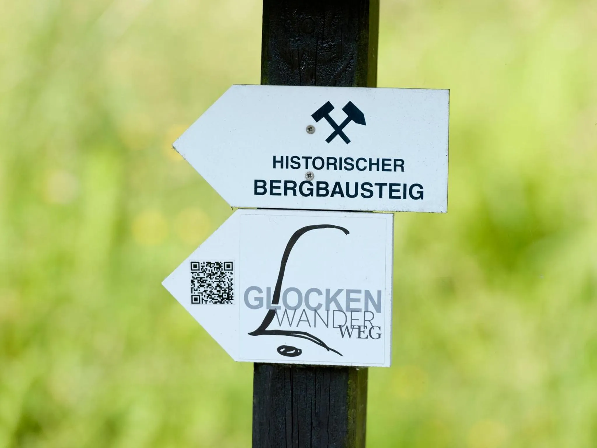 Area and facilities in Hotel Sonne