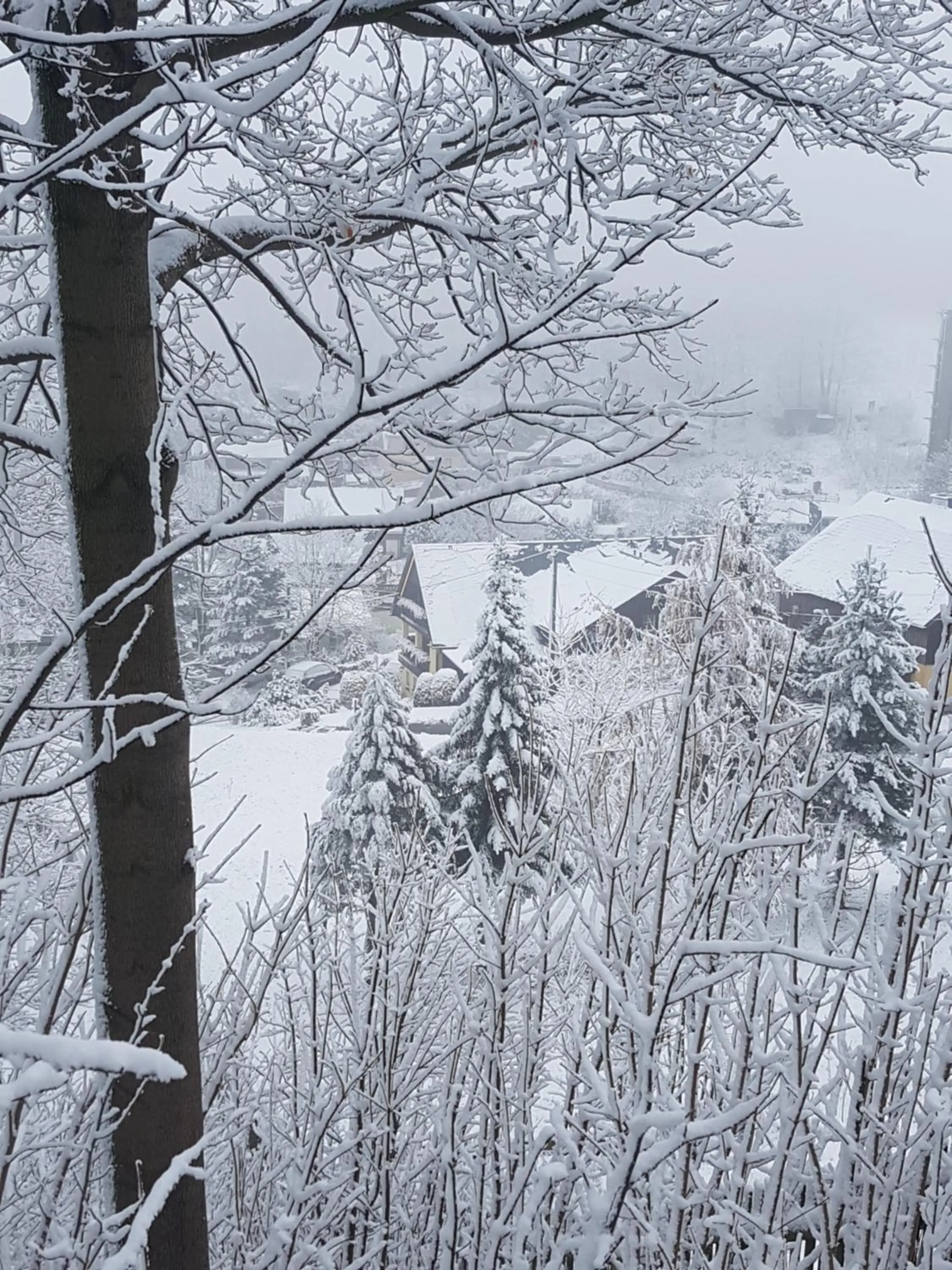 Other in Hotel Sonne