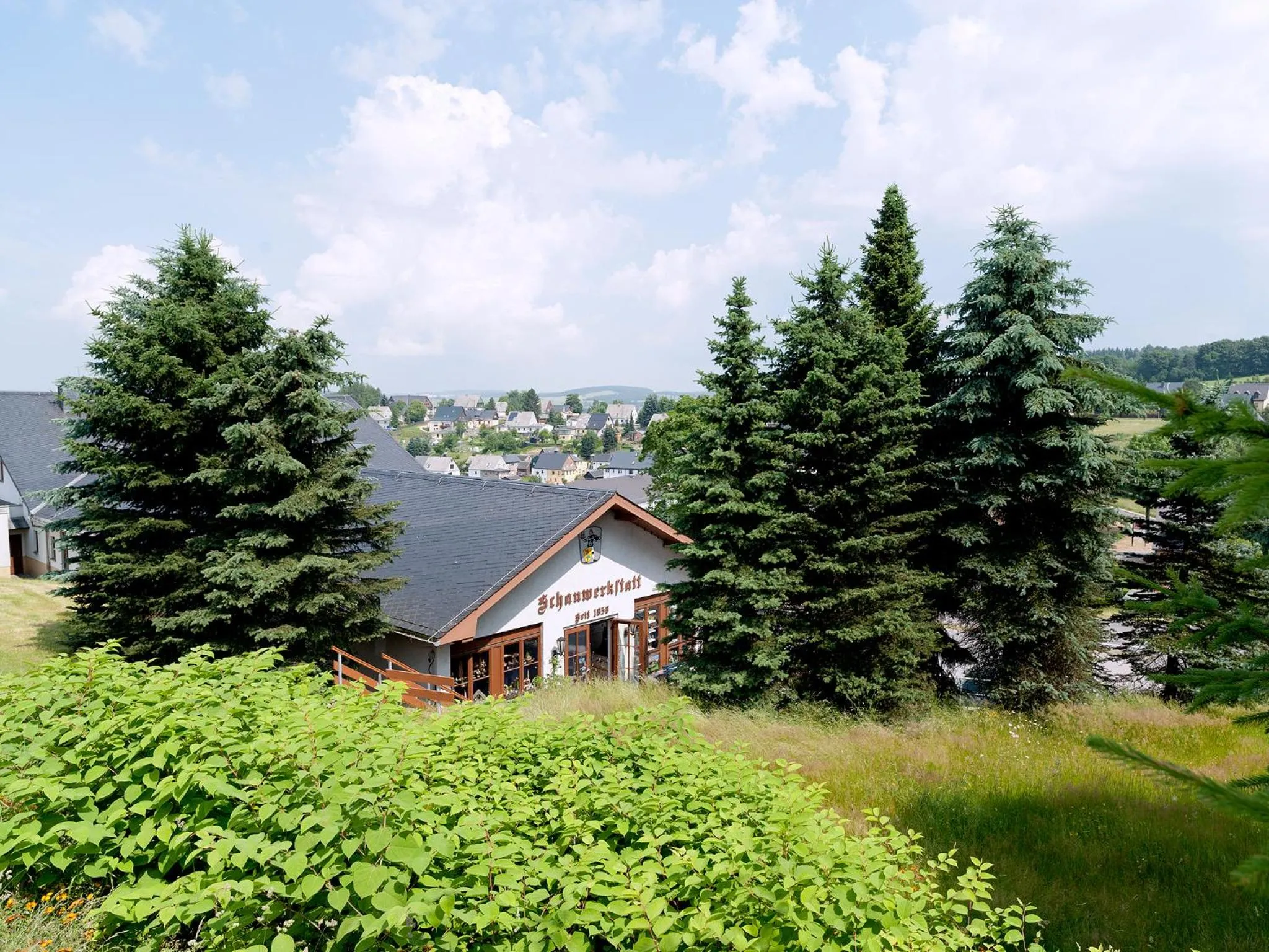 Area and facilities in Hotel Sonne