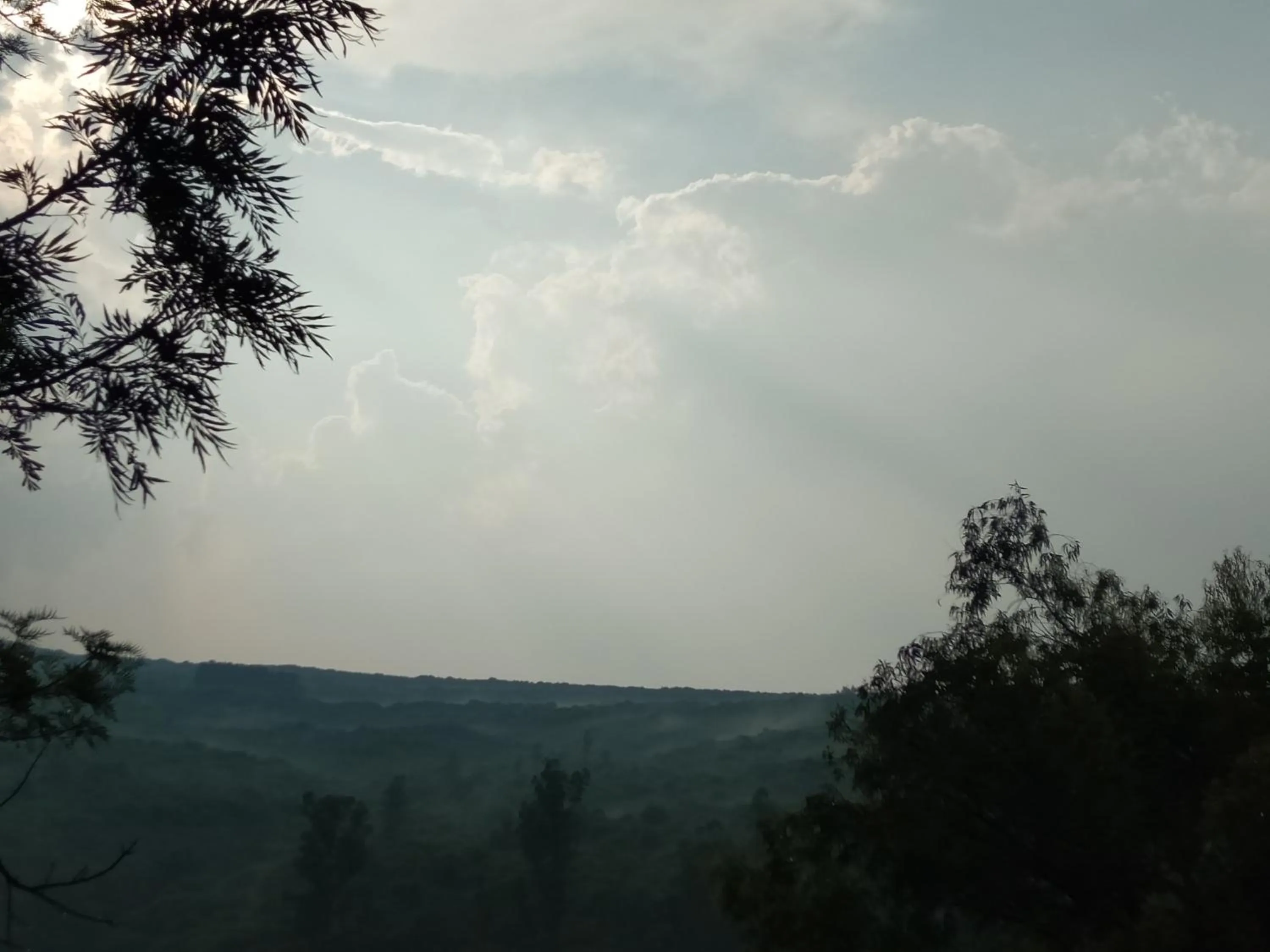 View (from property/room) in Forest Inn