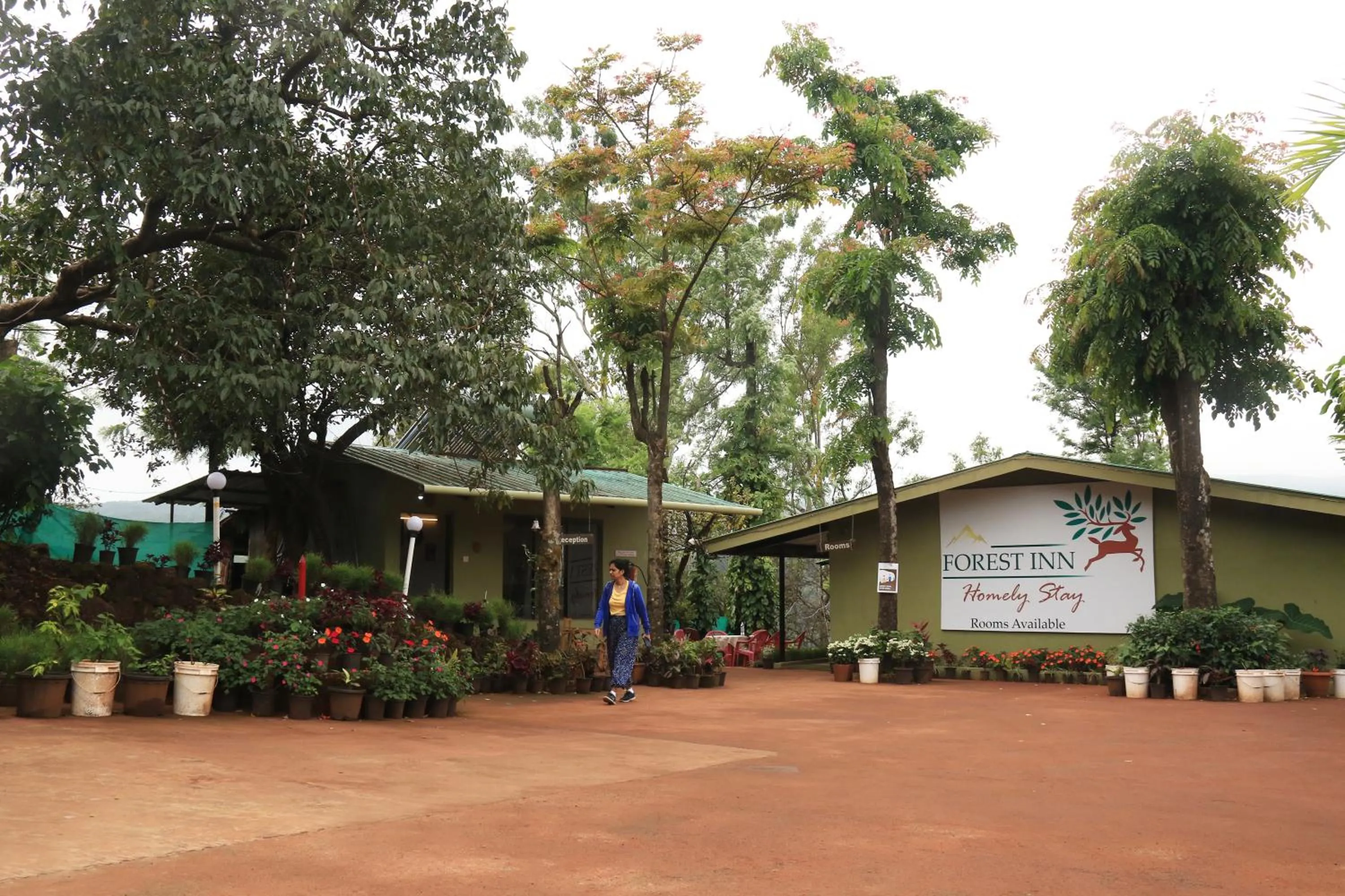 Garden in Forest Inn
