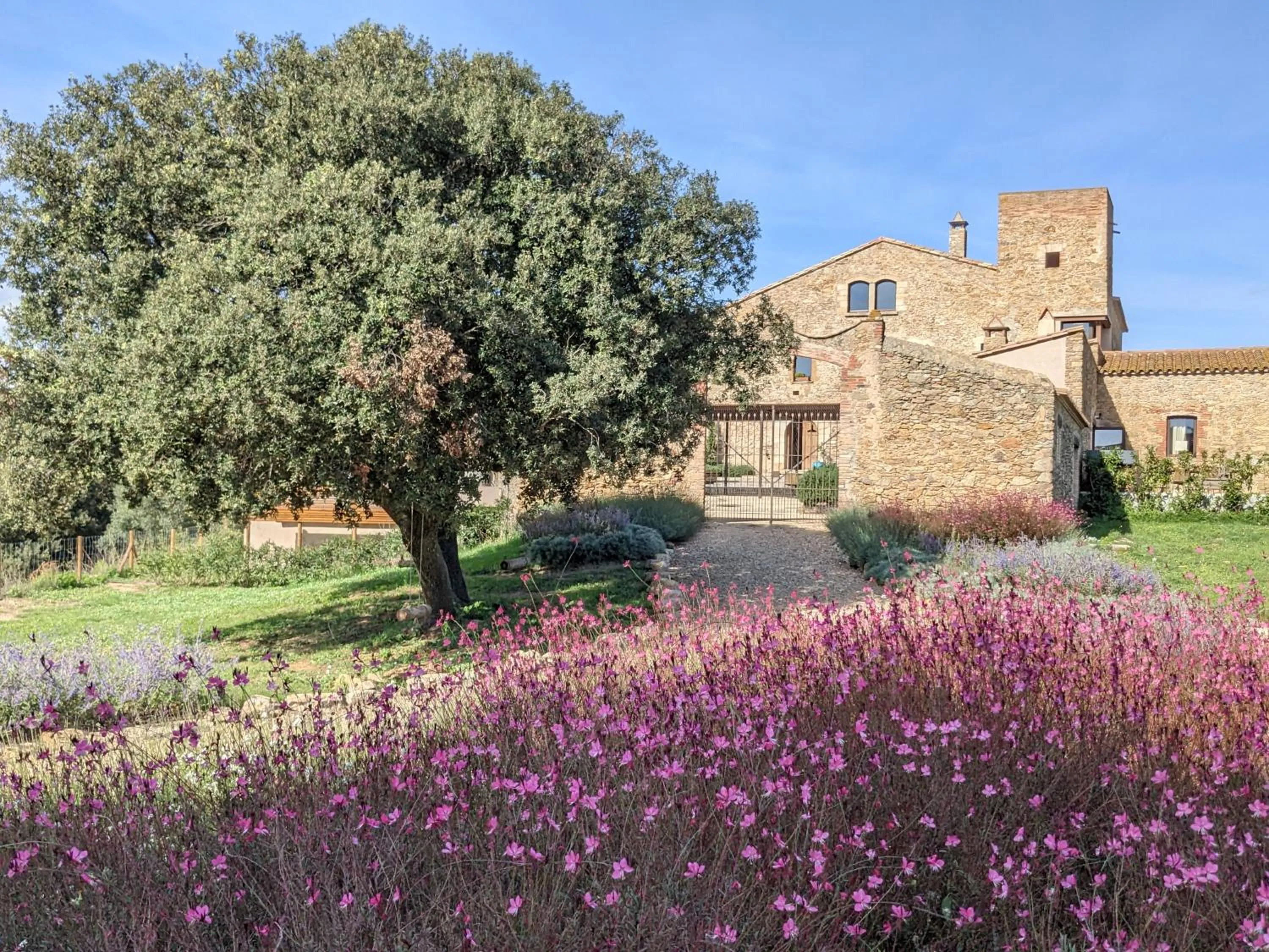 Property building in Mas Oms