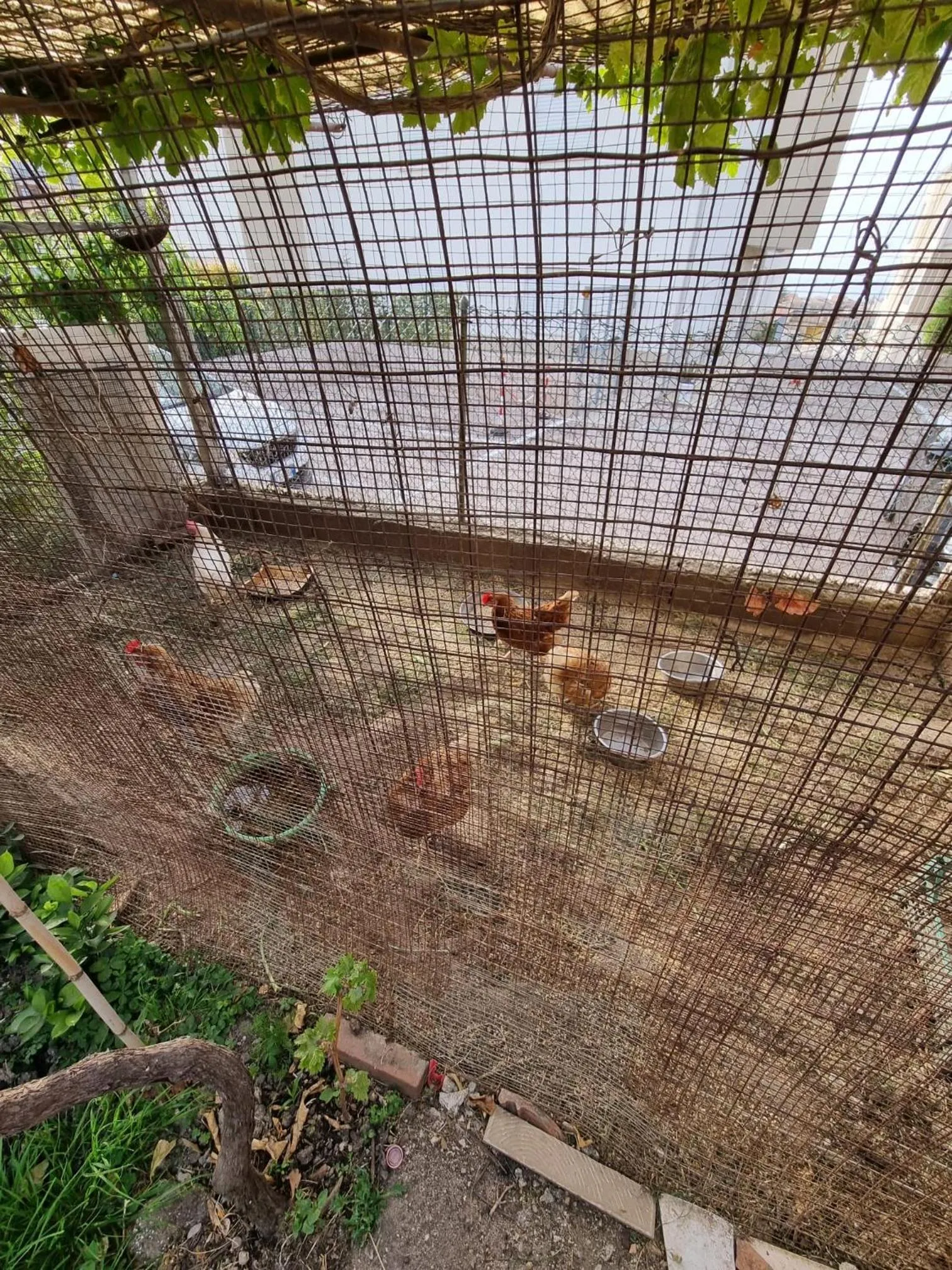 Day in B&B Kamalei Tropea