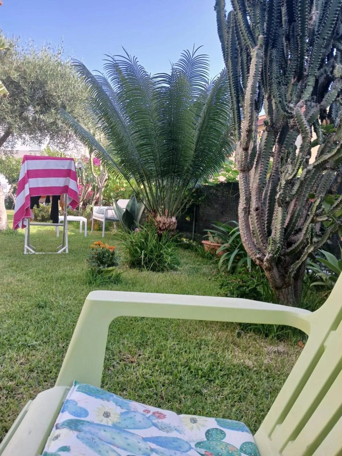 Garden in B&B Kamalei Tropea