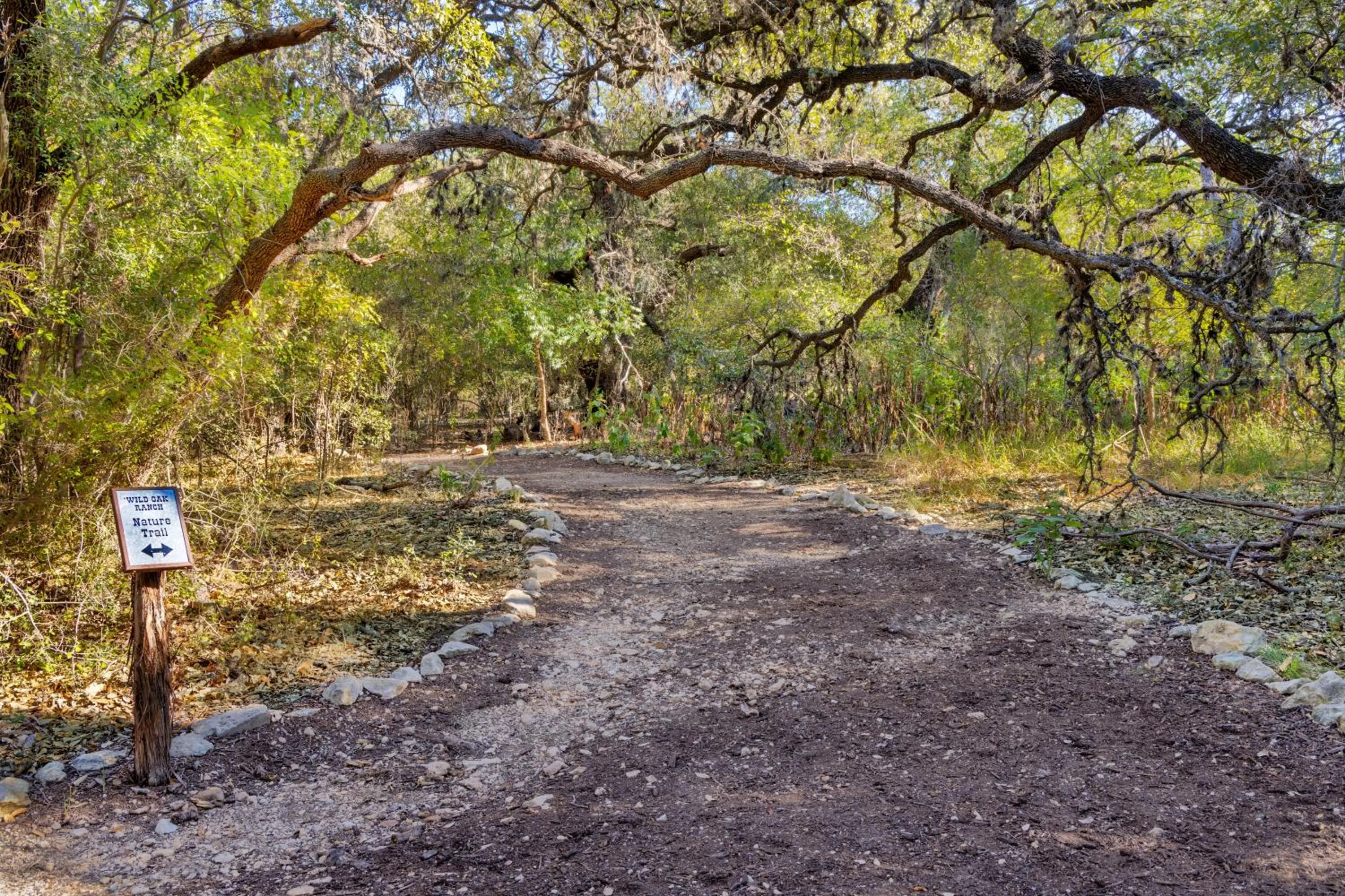 Natural landscape in Hyatt Vacation Club at Wild Oak Ranch