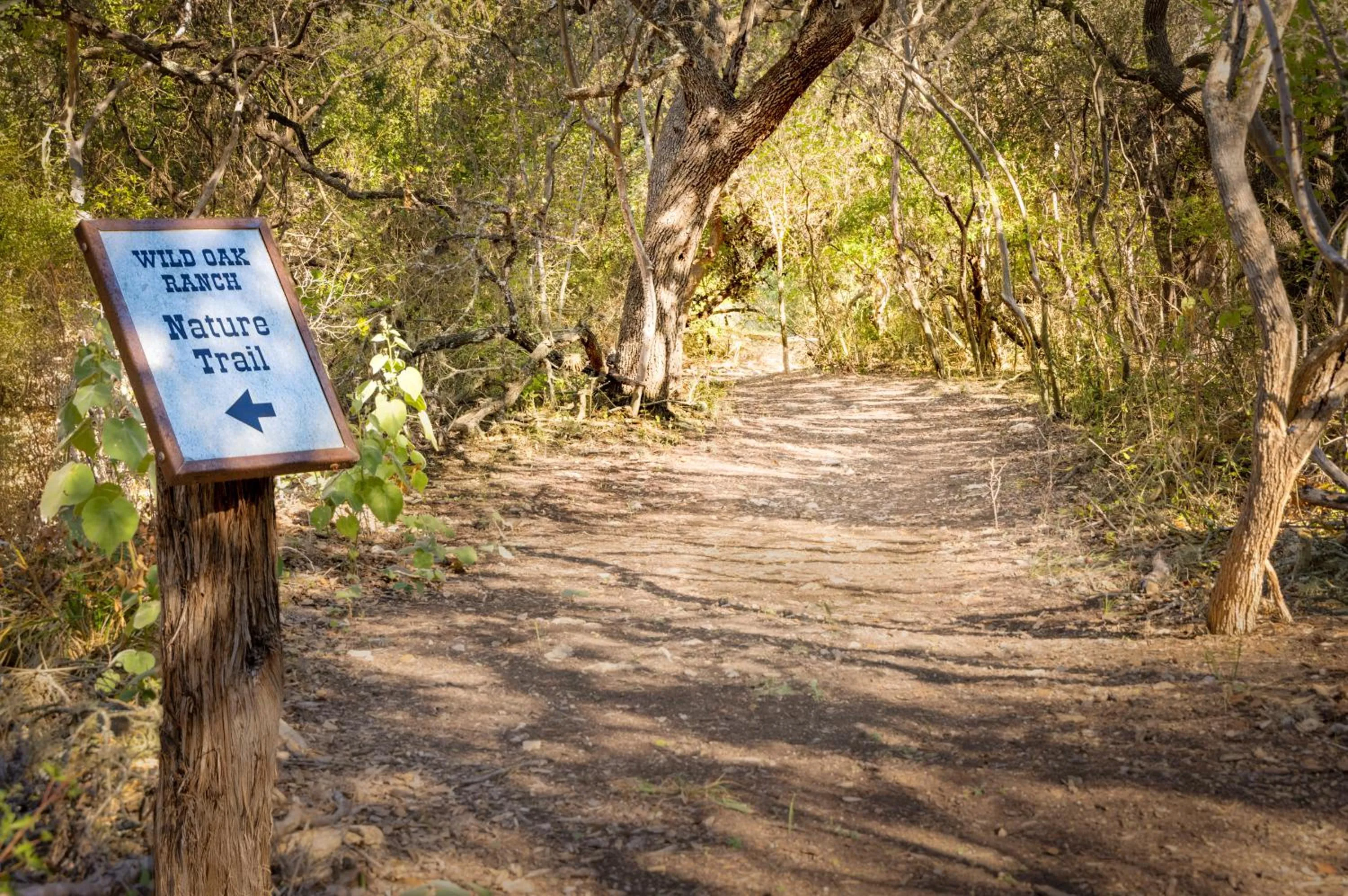 Natural landscape in Hyatt Vacation Club at Wild Oak Ranch