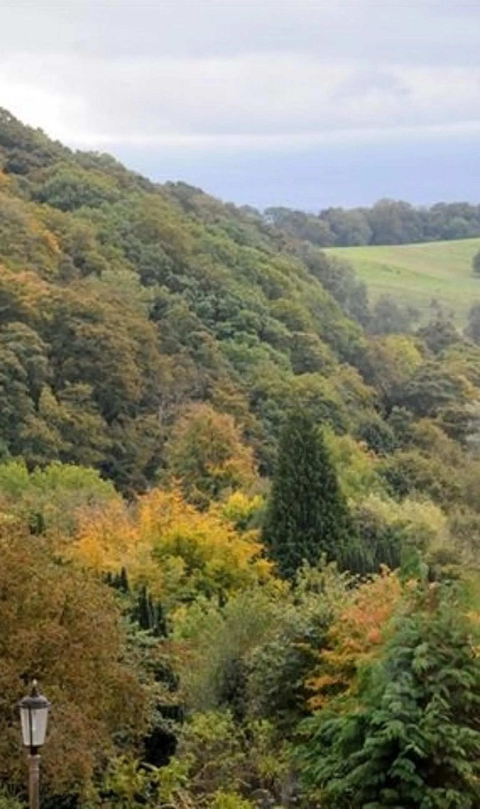 Natural landscape in The Frenchgate Hotel