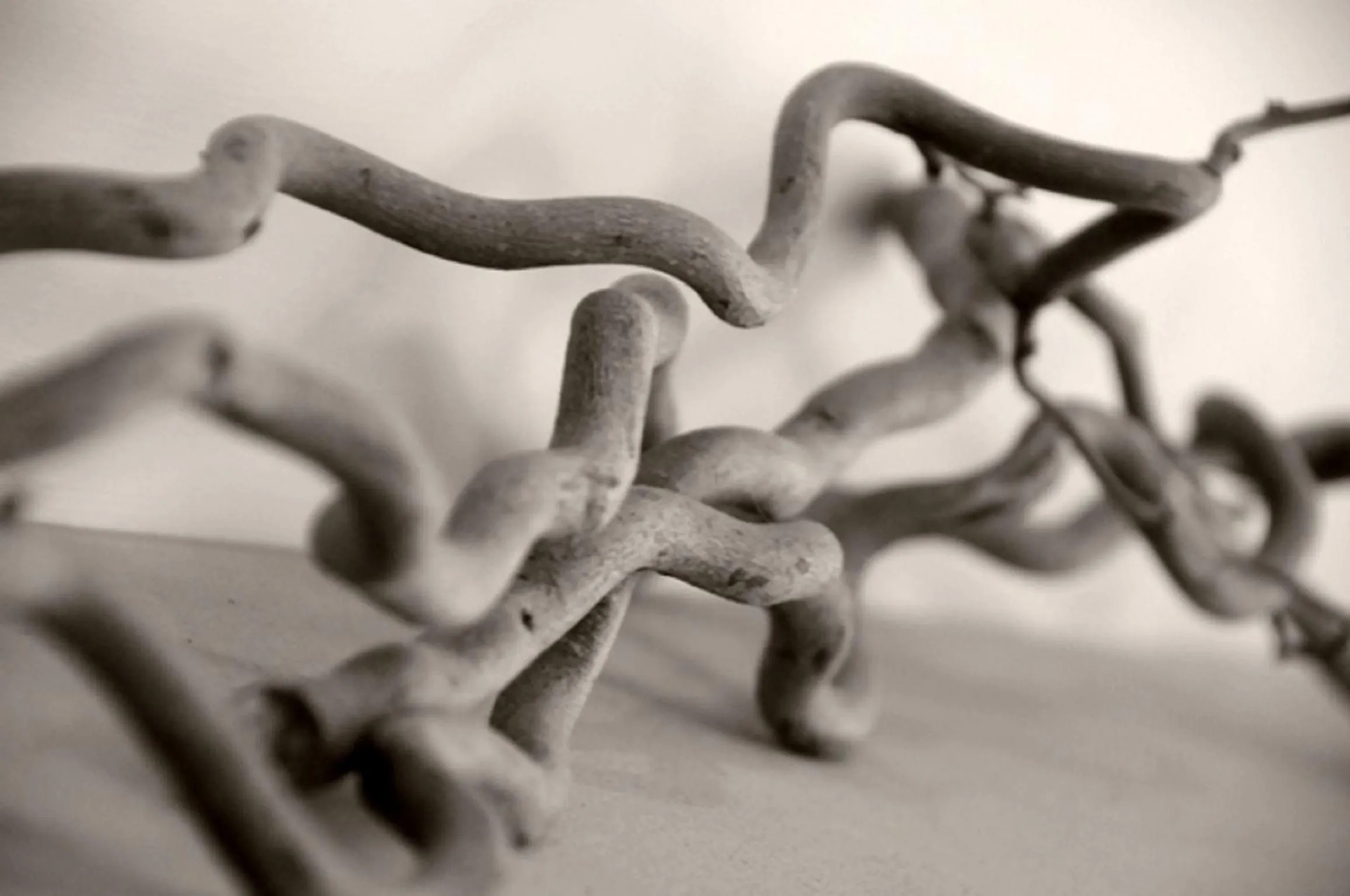 Decorative detail in The Frenchgate Hotel