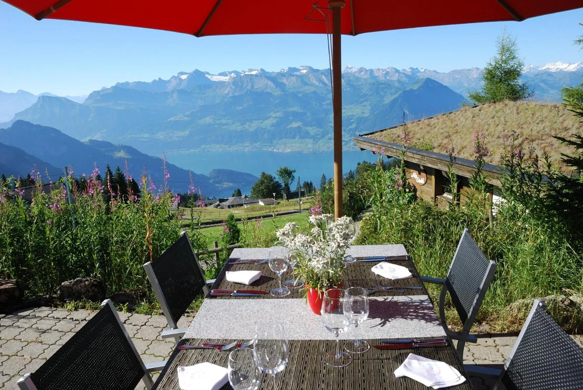 Restaurant/places to eat in Kräuterhotel Edelweiss