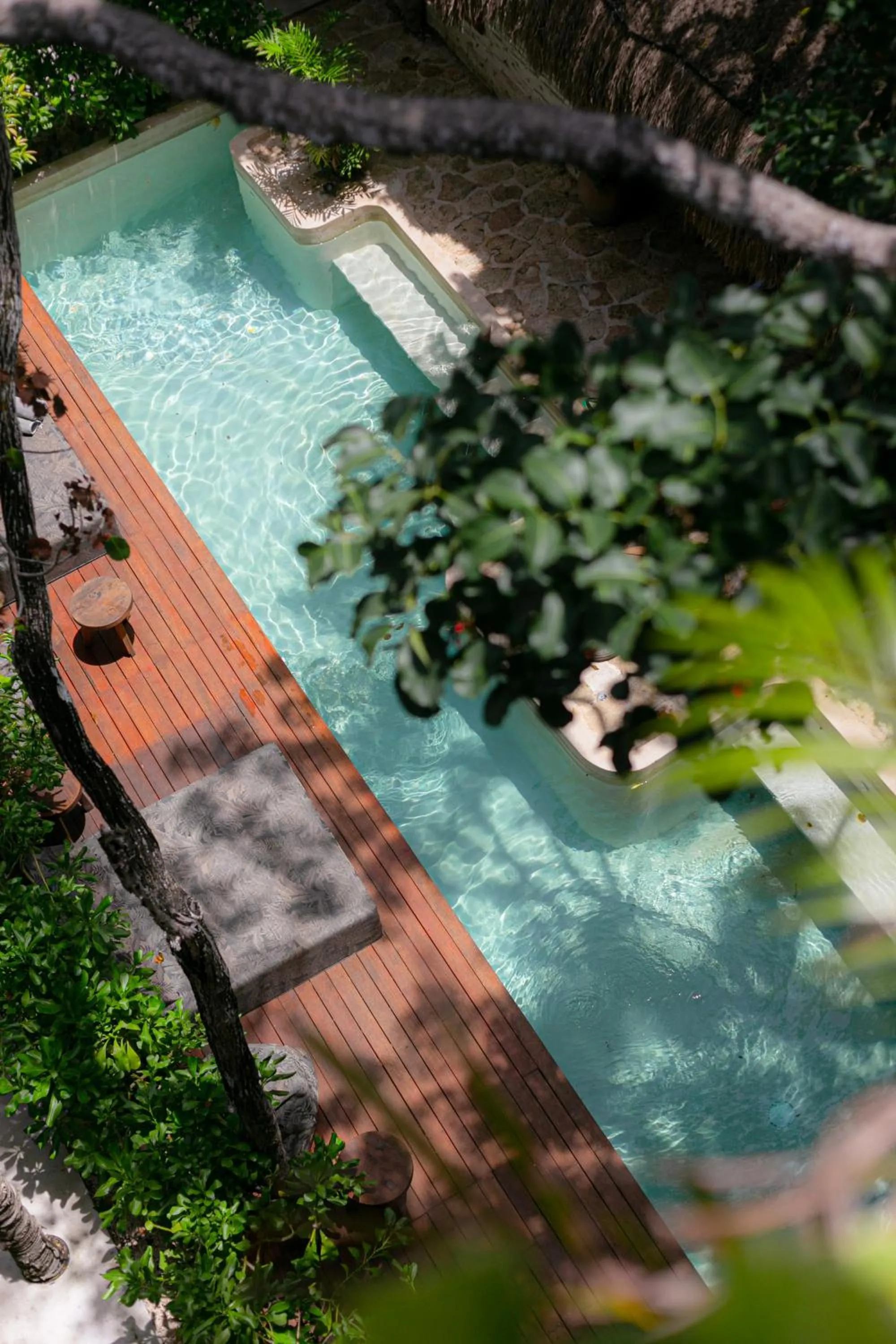 Day in Zereno Tulum Beach Club Access