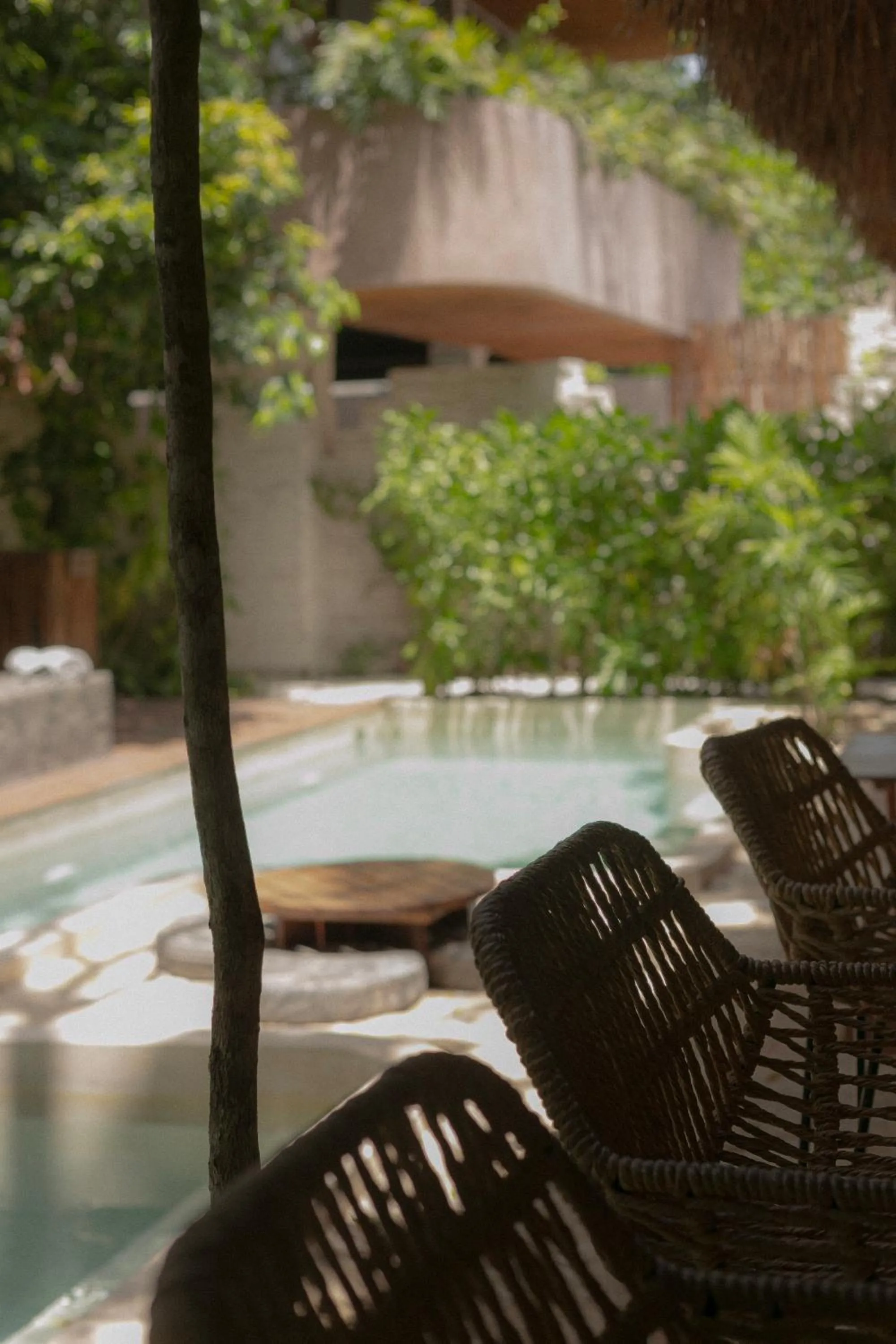 Pool view in Zereno Tulum Beach Club Access
