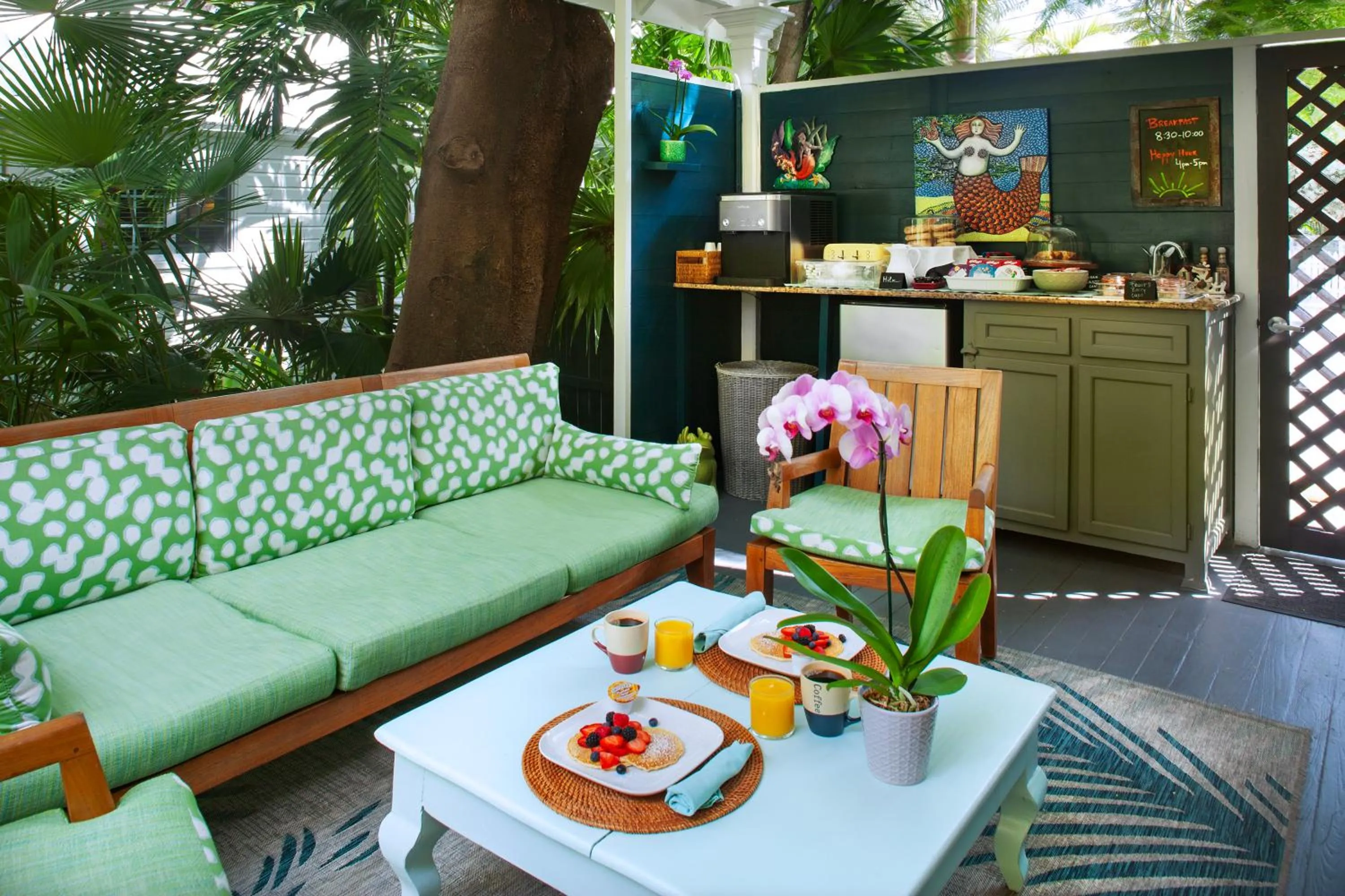 Patio in The Mermaid & The Alligator