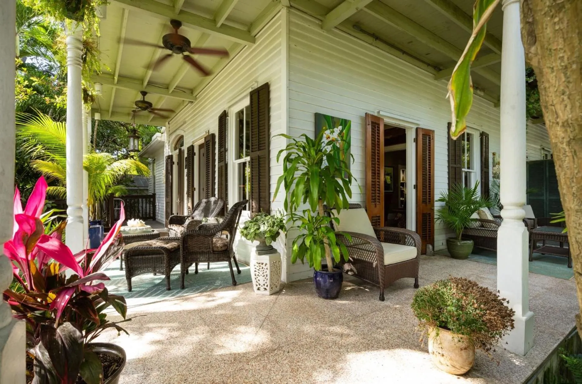 Patio in The Mermaid & The Alligator