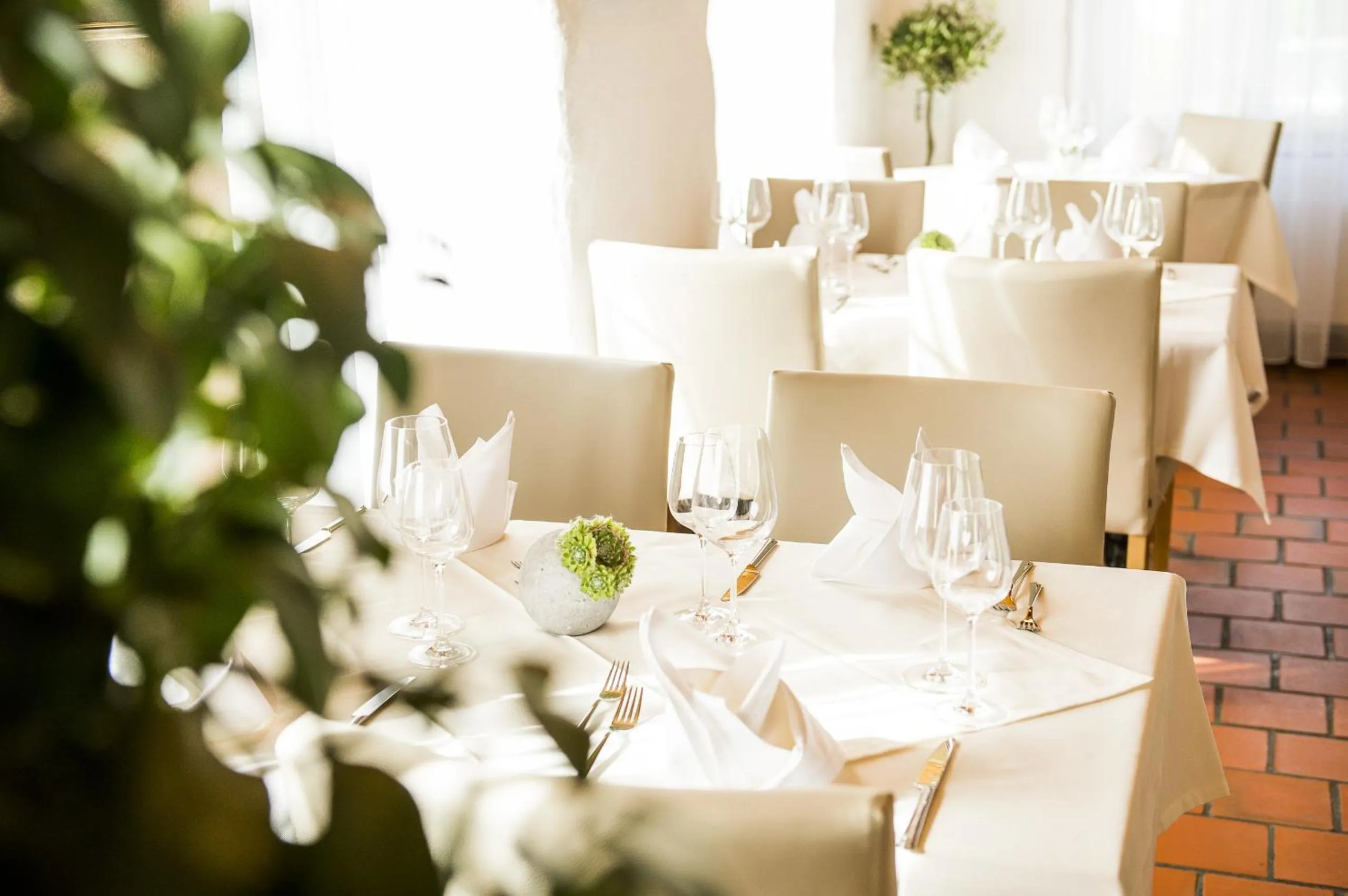 Restaurant/places to eat in Hotel Sternen