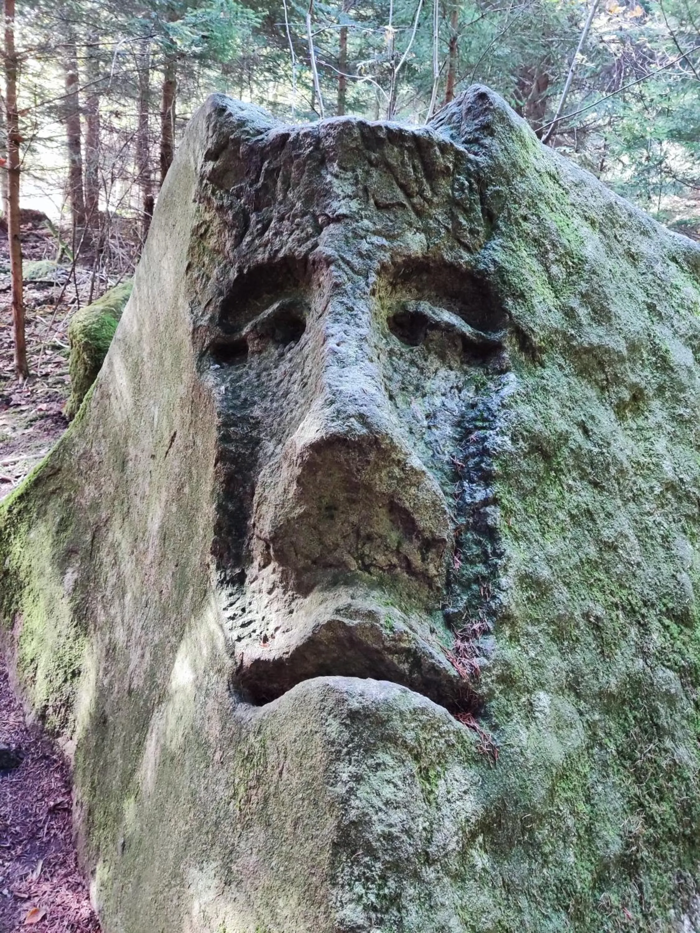 Nearby landmark in Matějovec 109 & Ubytování Na statku