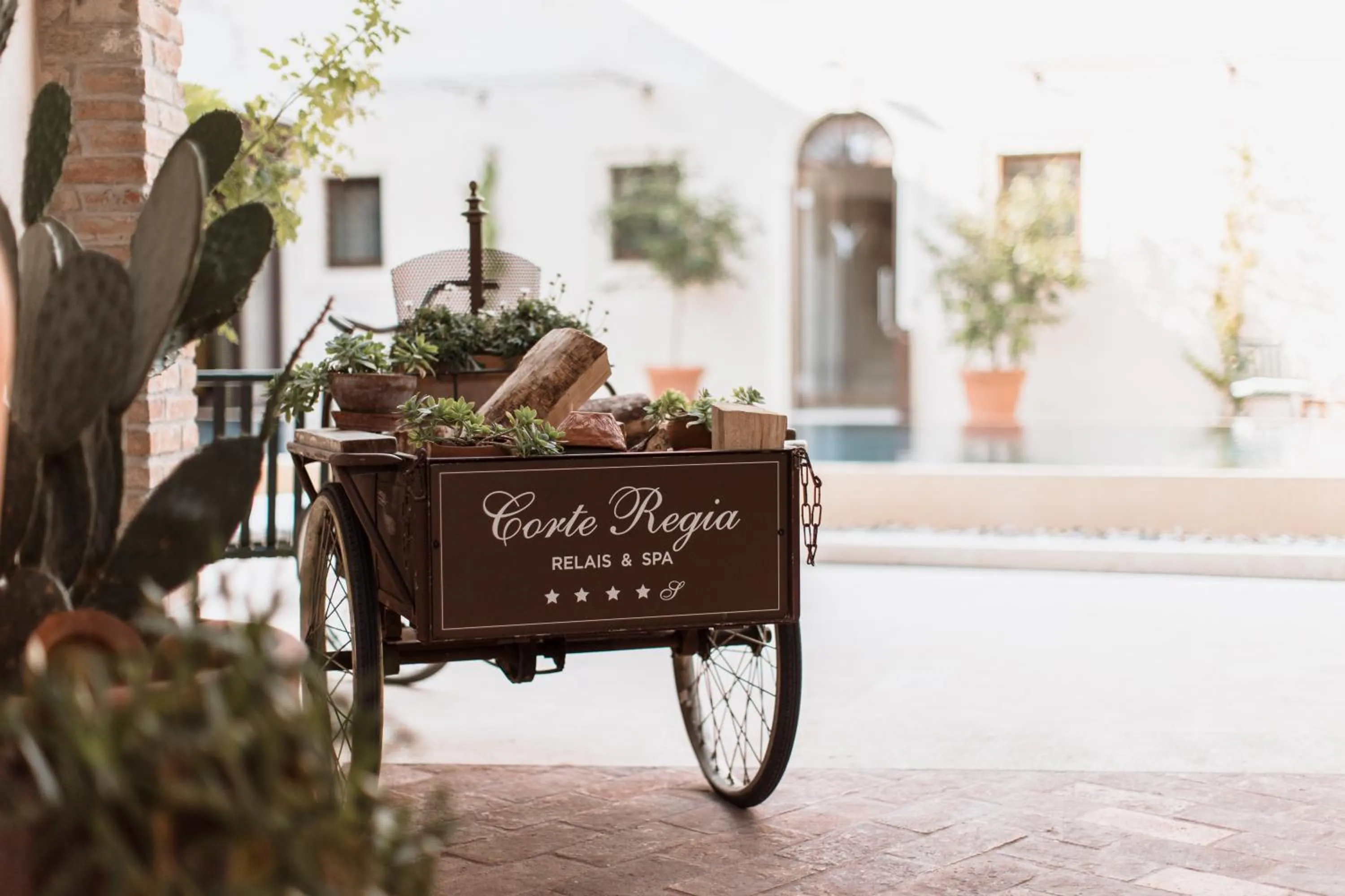Swimming pool in Corte Regia Relais & Spa