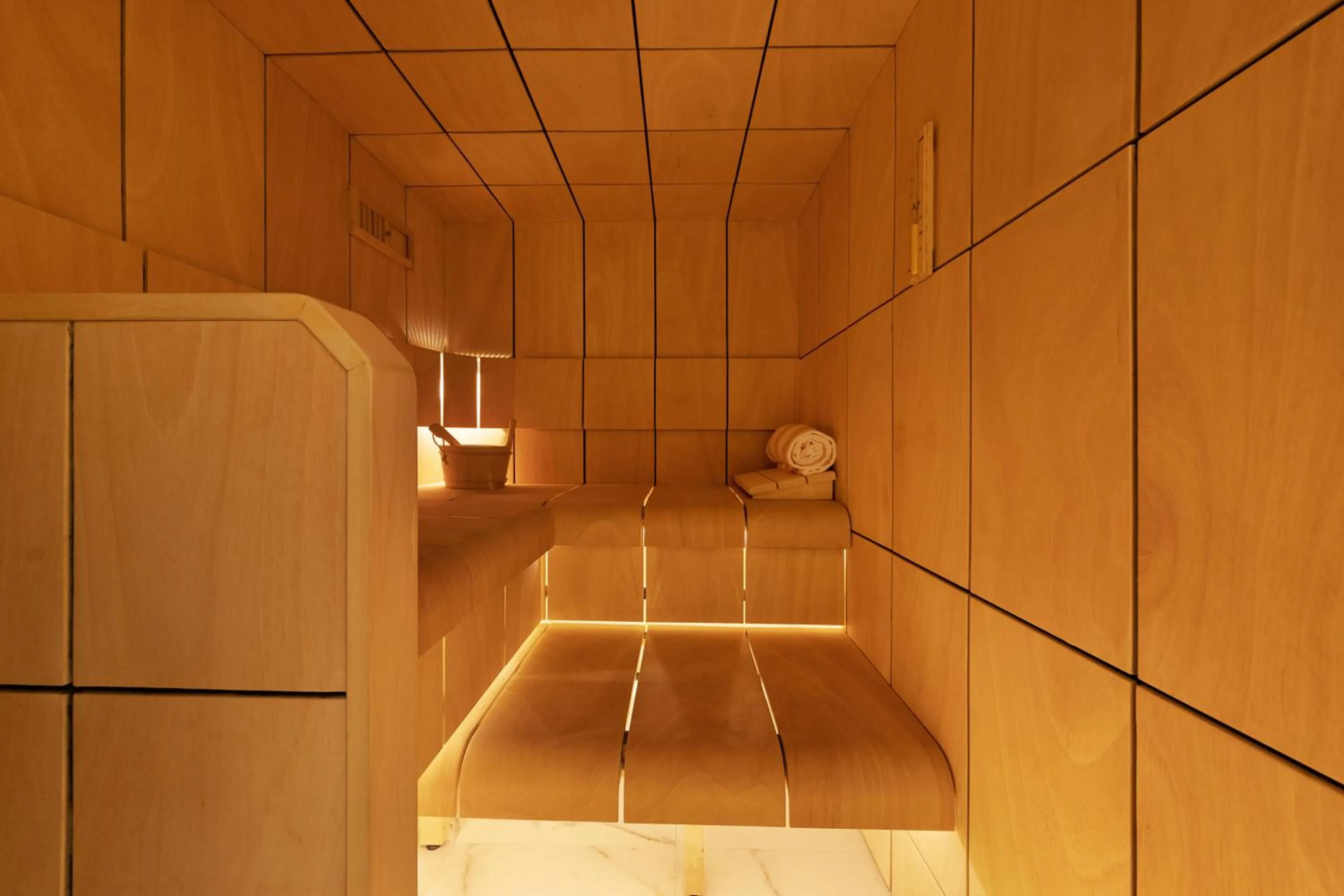 Sauna in Adagio Premium The Palm