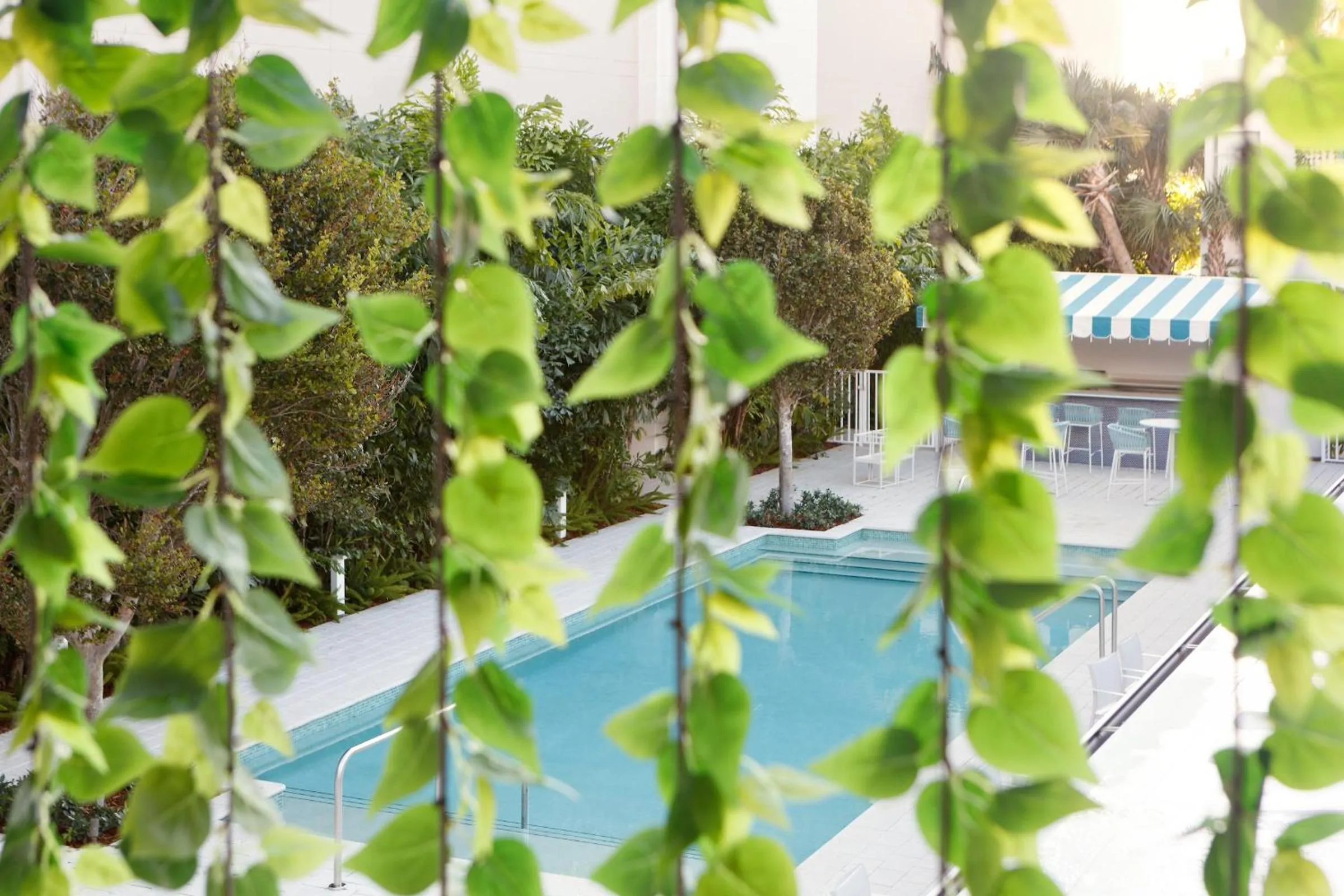 Swimming pool in The Kimpton Shorebreak Fort Lauderdale Beach Resort