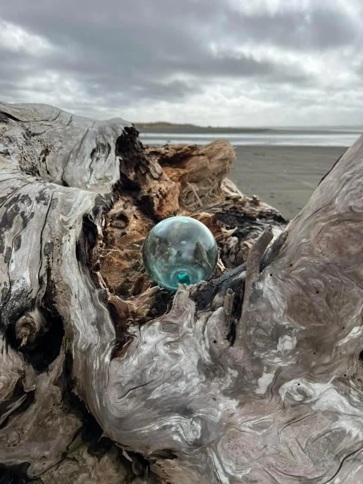 Beach in Canterbury Inn