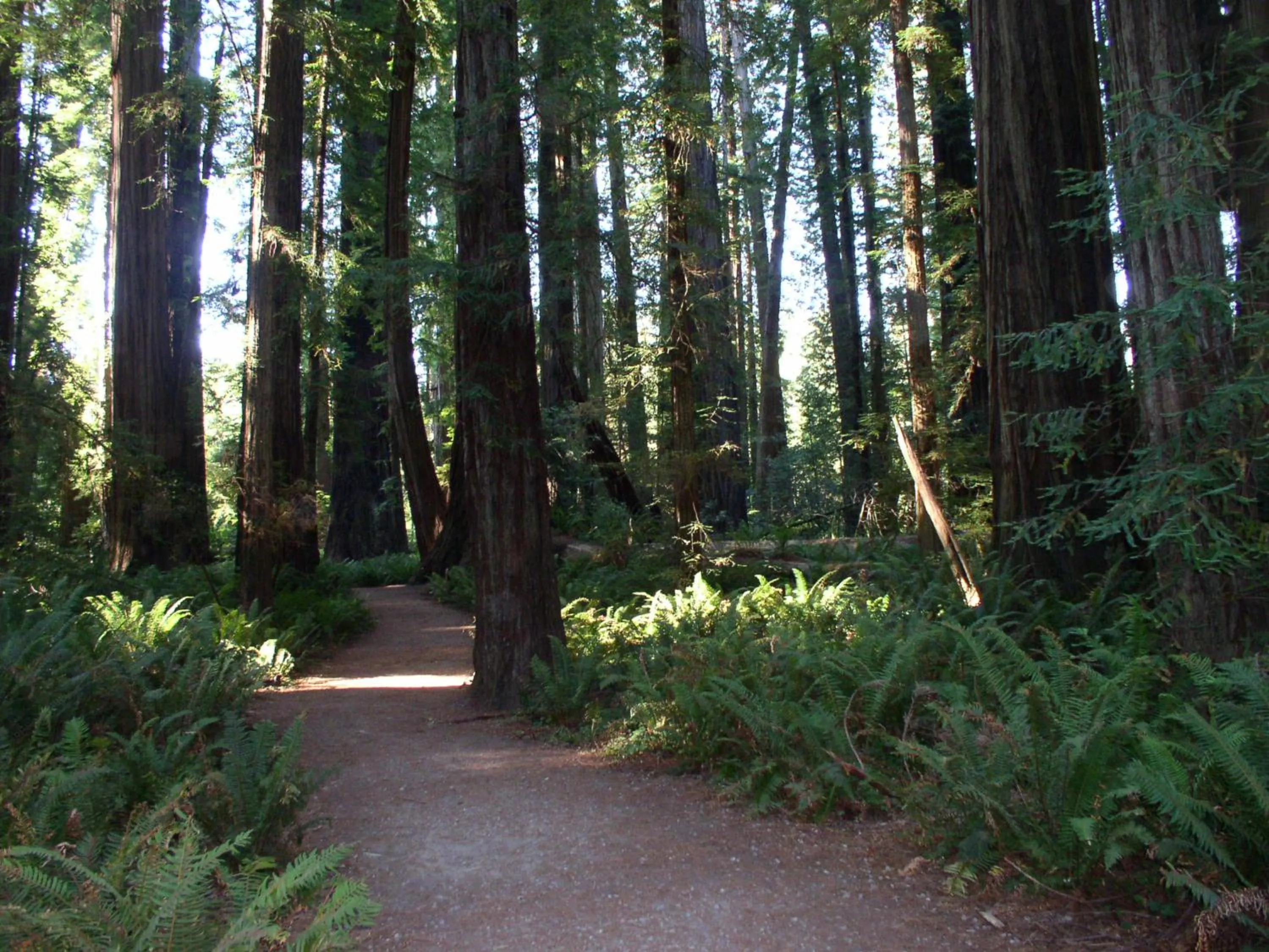 Horse-riding in Oceanfront Lodge