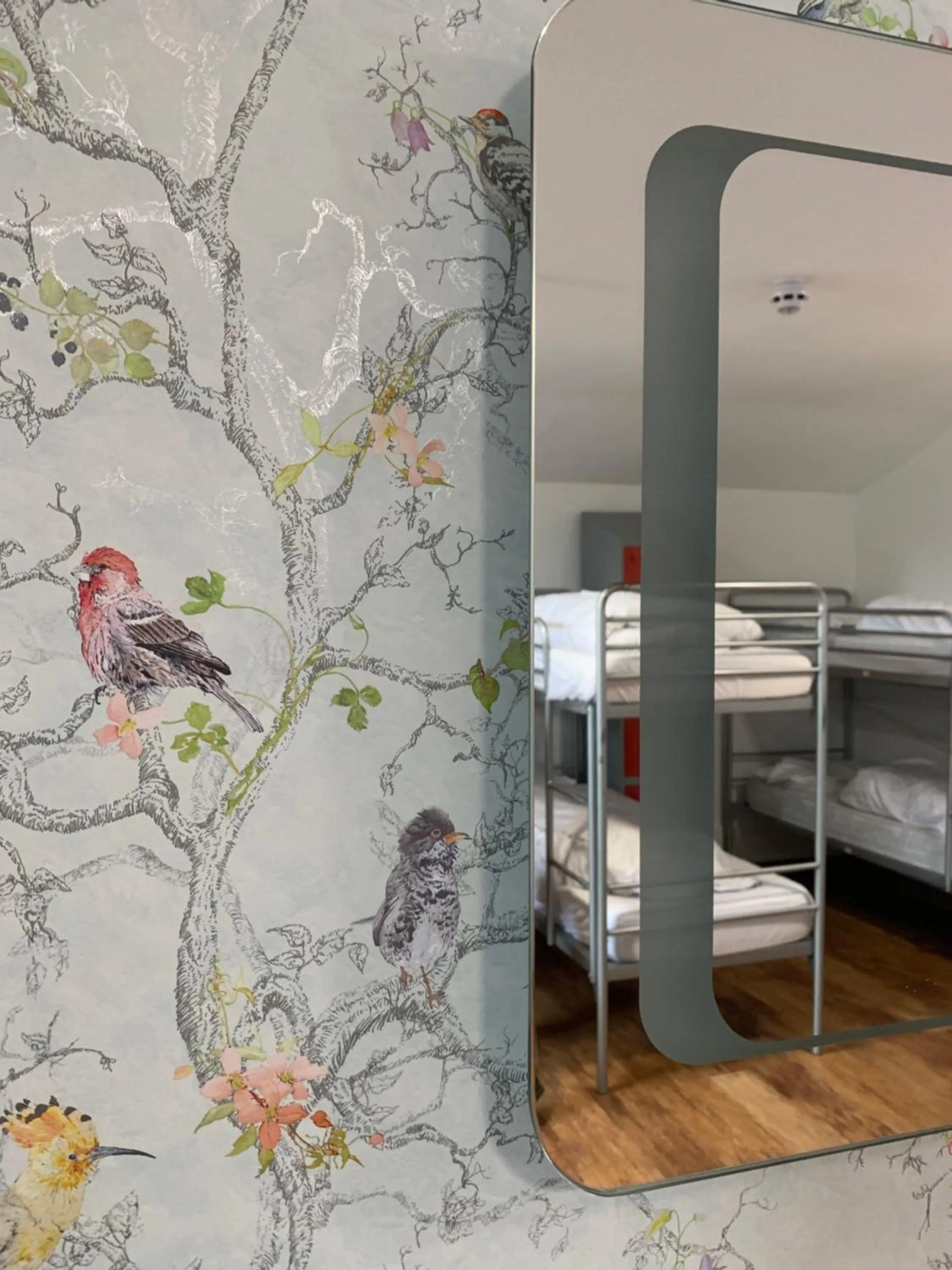 Bedroom, Bed in Bath YMCA Hostel