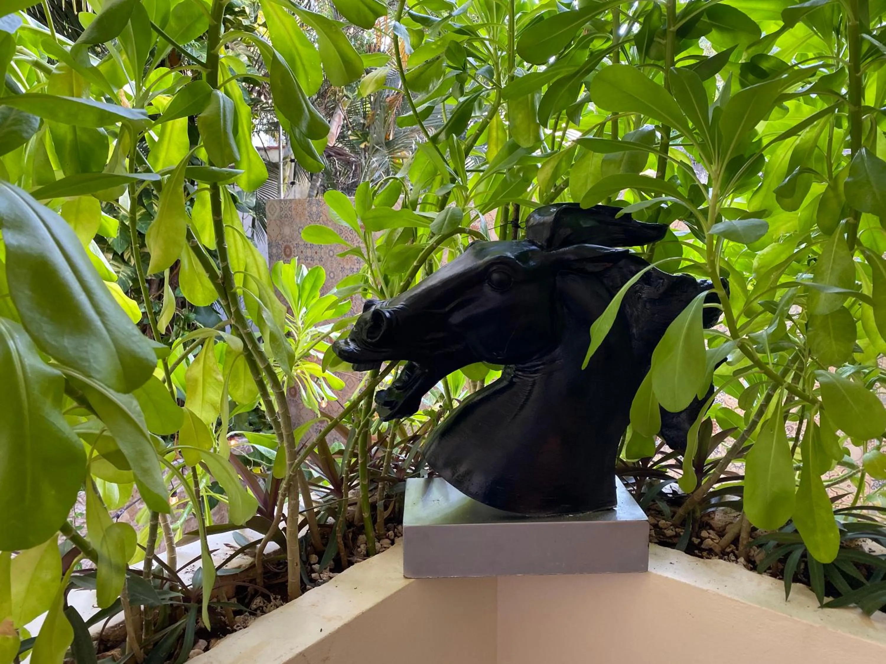 Balcony/Terrace in Casarte Boutique Hotel