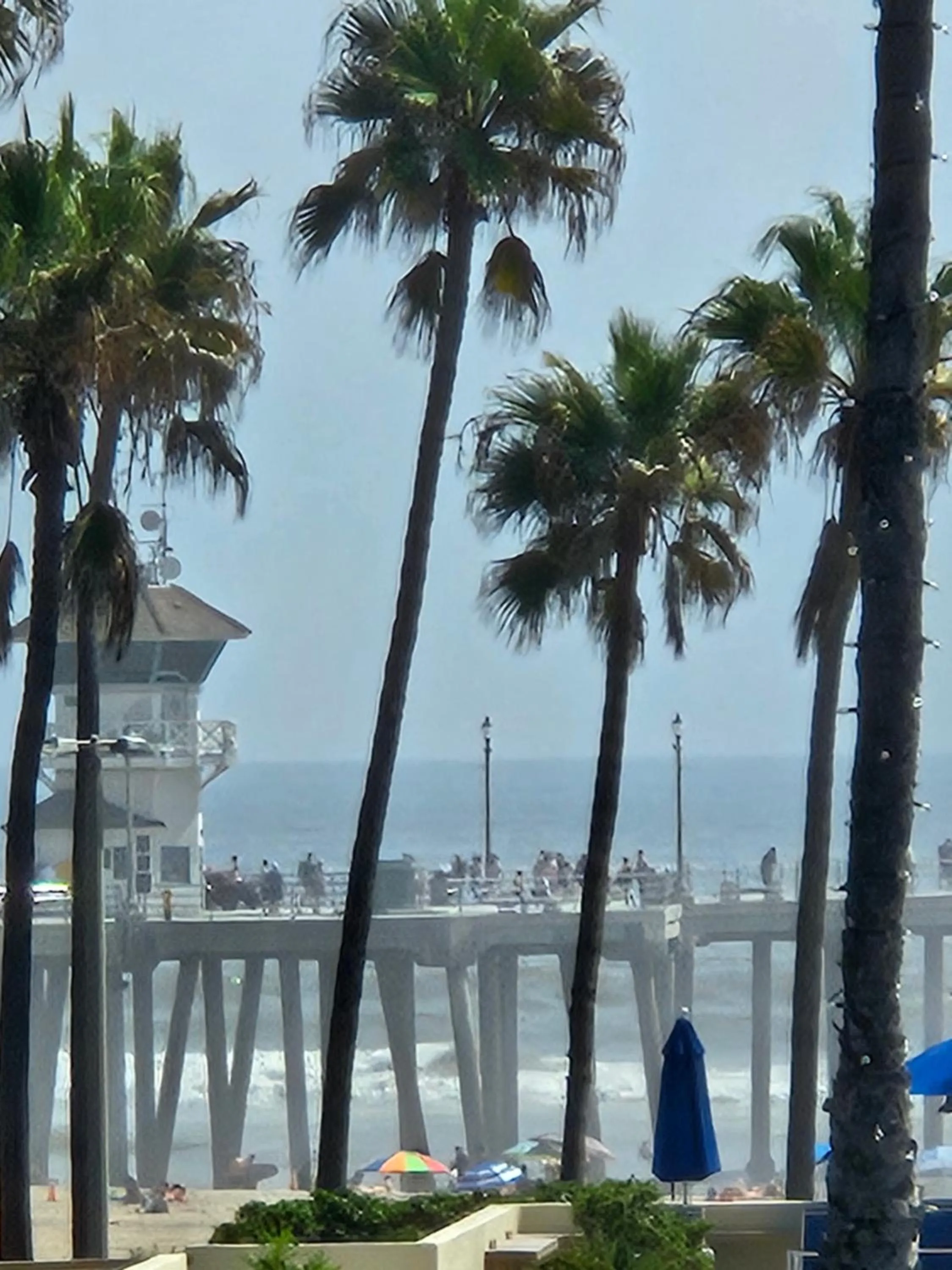 View (from property/room) in Huntington Surf Inn