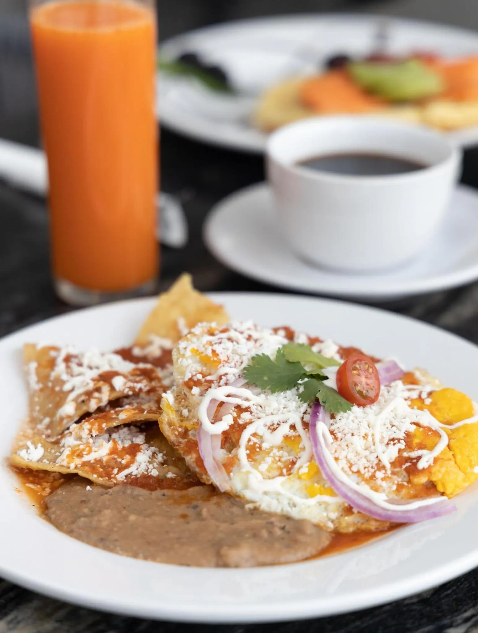 Food and drinks in TH HOTEL & VIVIENDA