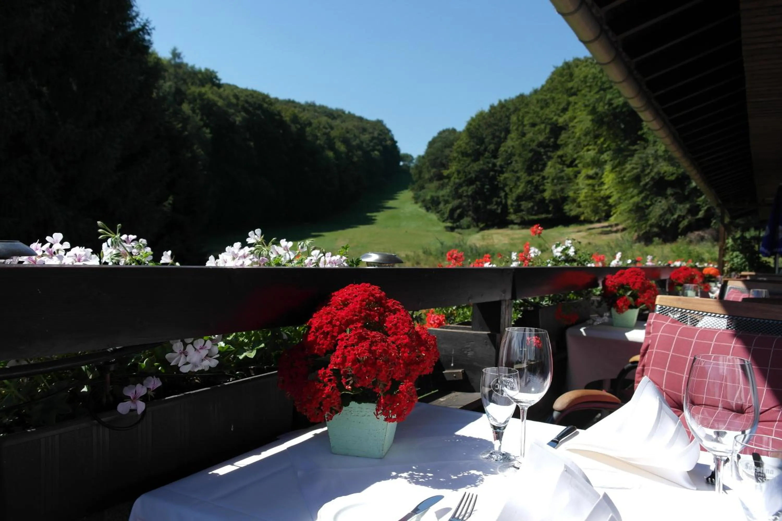 Balcony/Terrace in Landhotel Windlicht