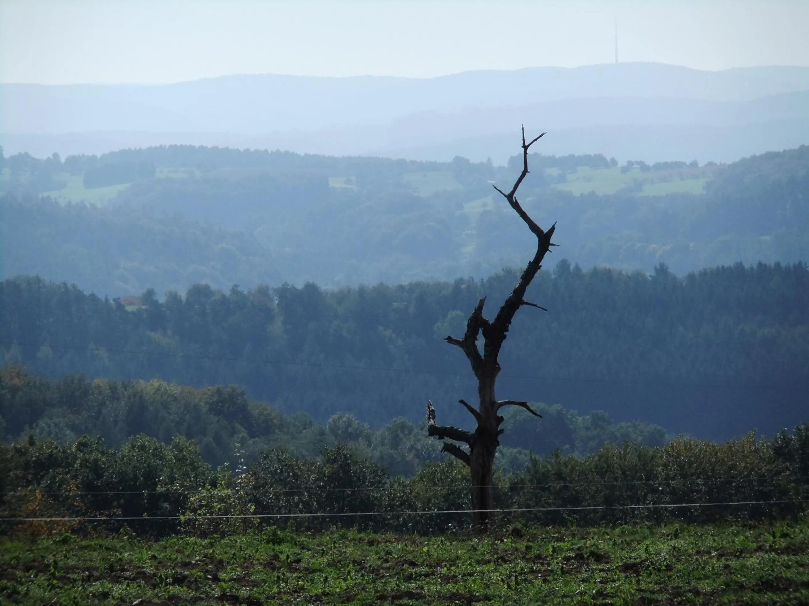 Natural landscape in Landhotel Windlicht