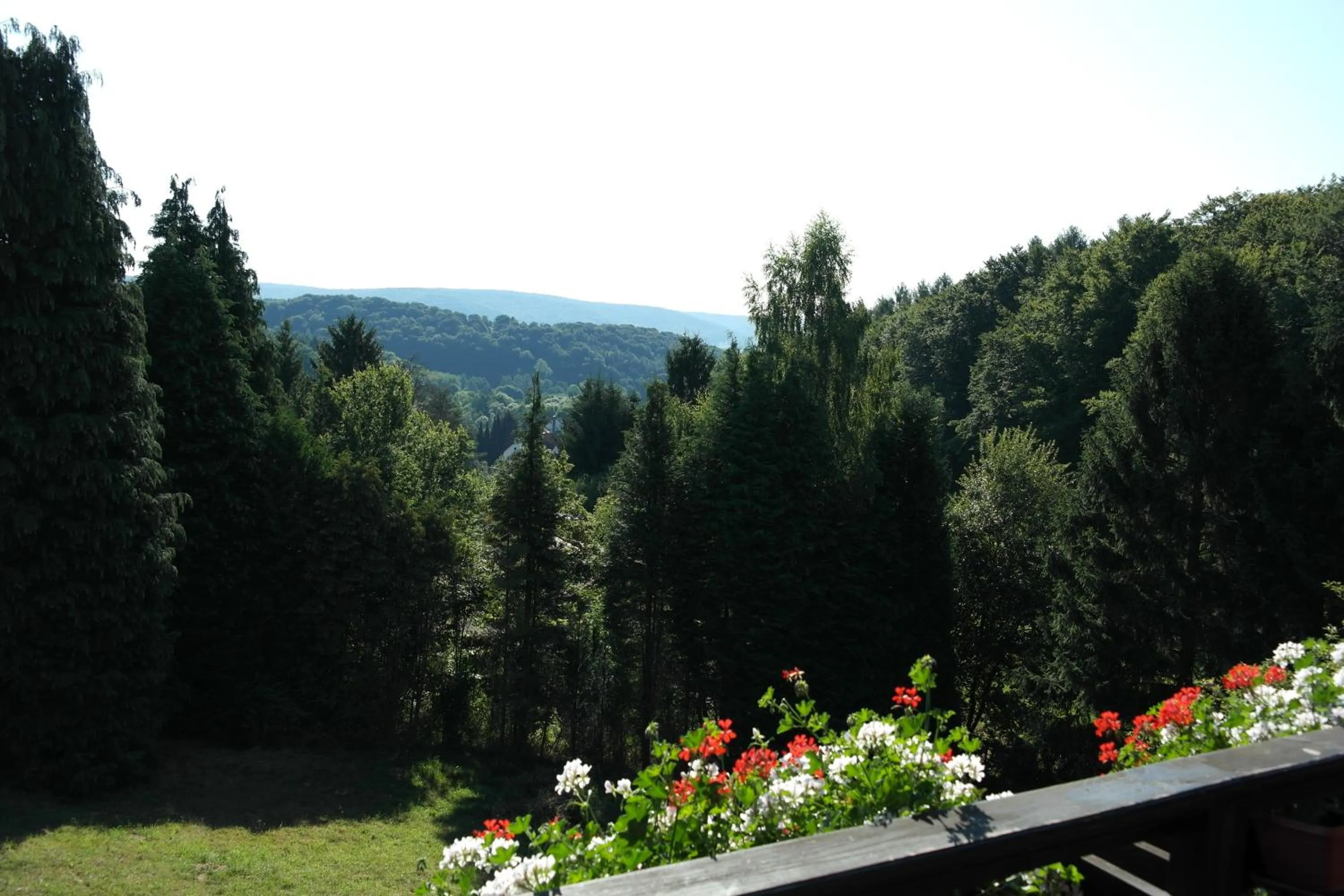 Balcony/Terrace in Landhotel Windlicht