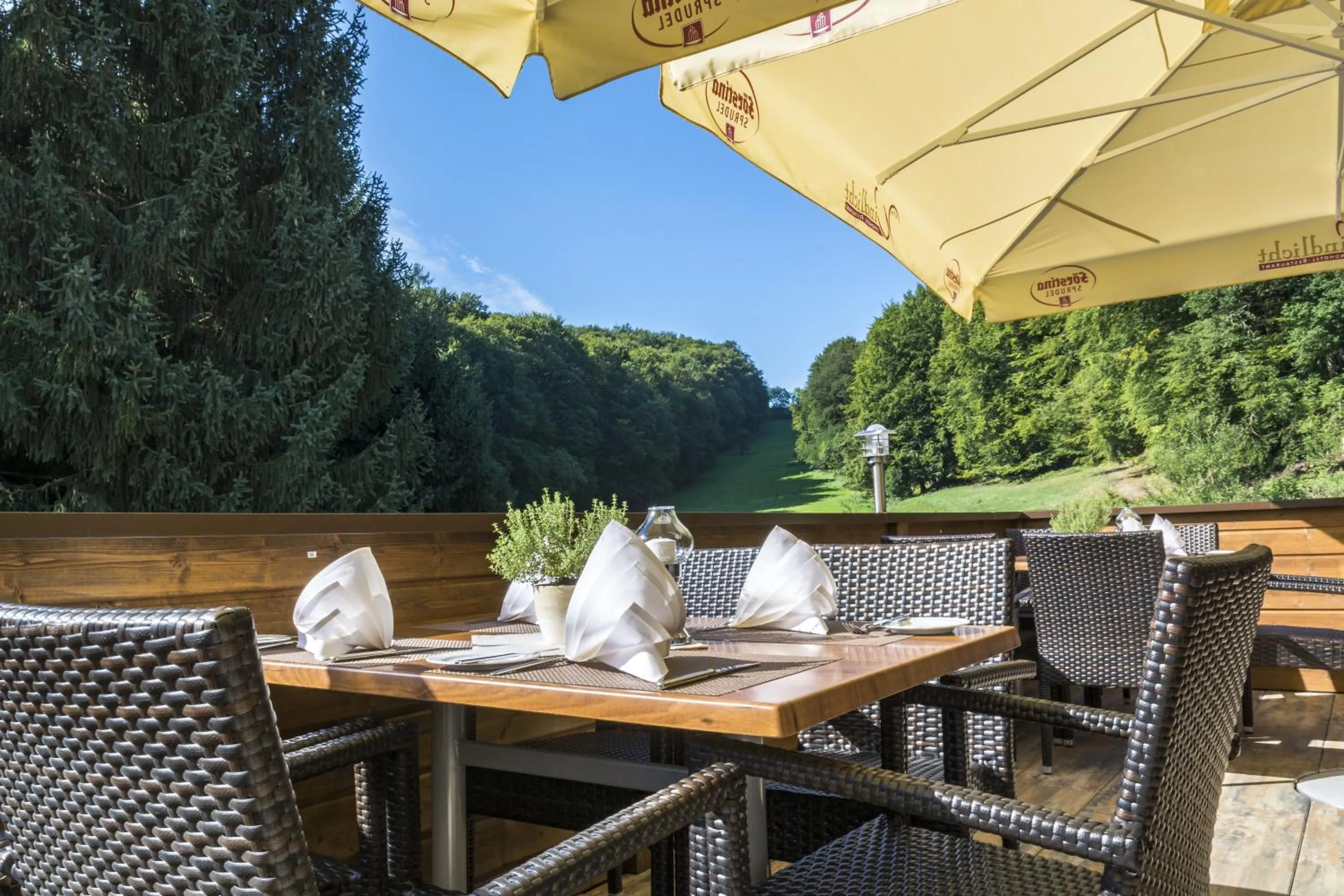 Mountain view in Landhotel Windlicht