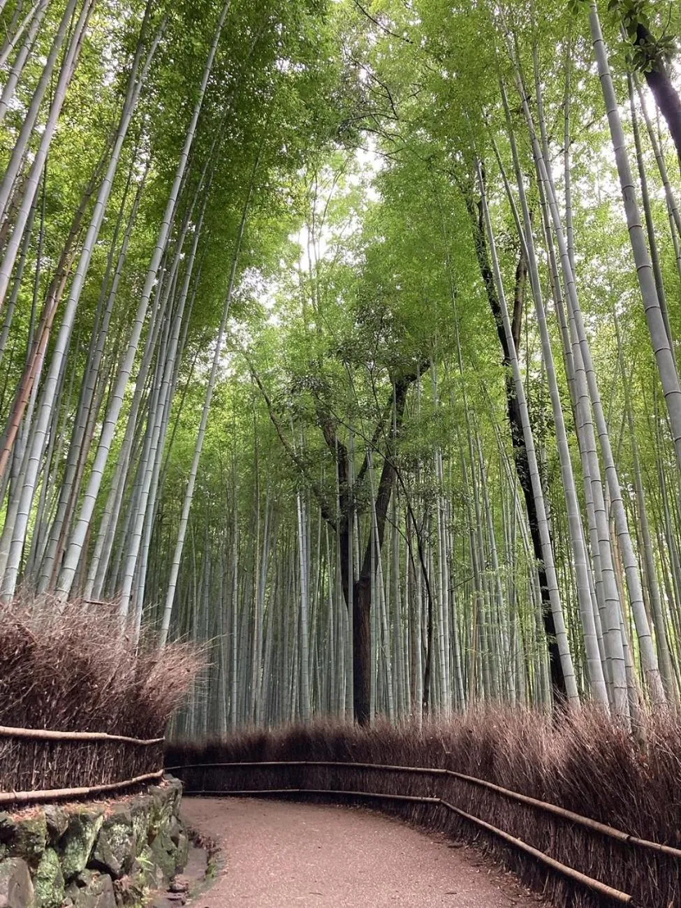 Nearby landmark in HOTEL TAVINOS Kyoto