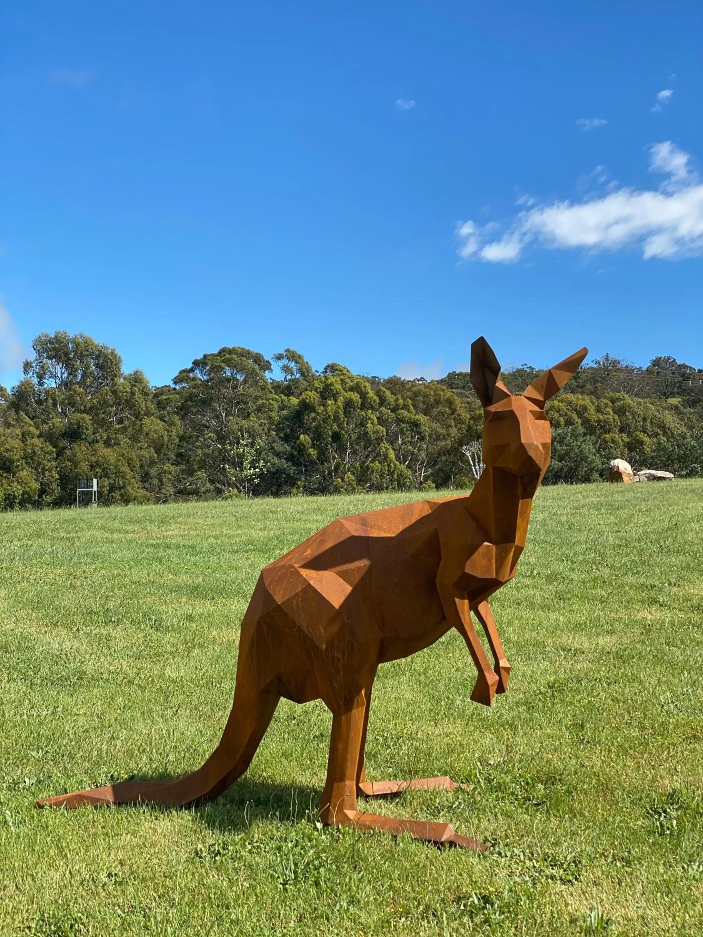 Animals in Hanging Rock Views