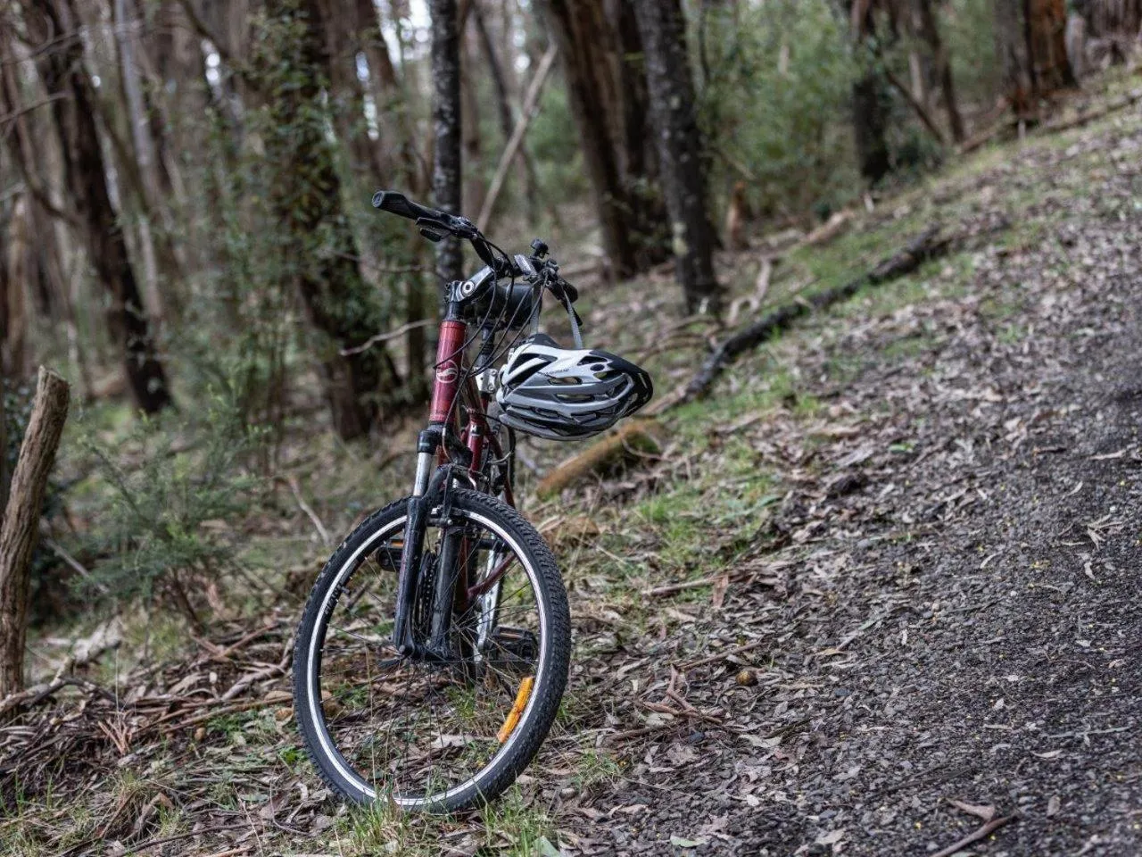 Cycling in Hanging Rock Views