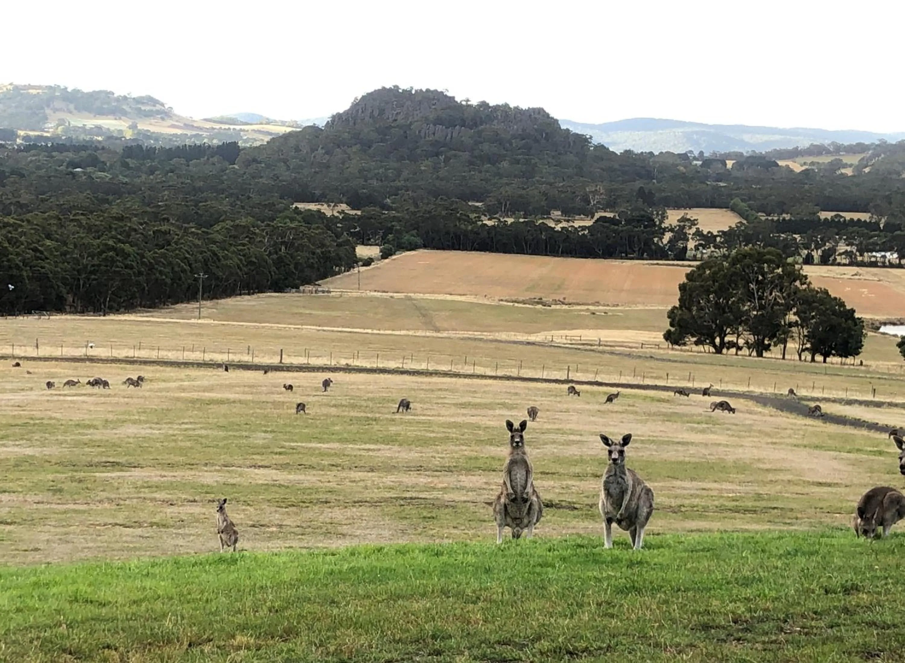 Natural landscape in Hanging Rock Views