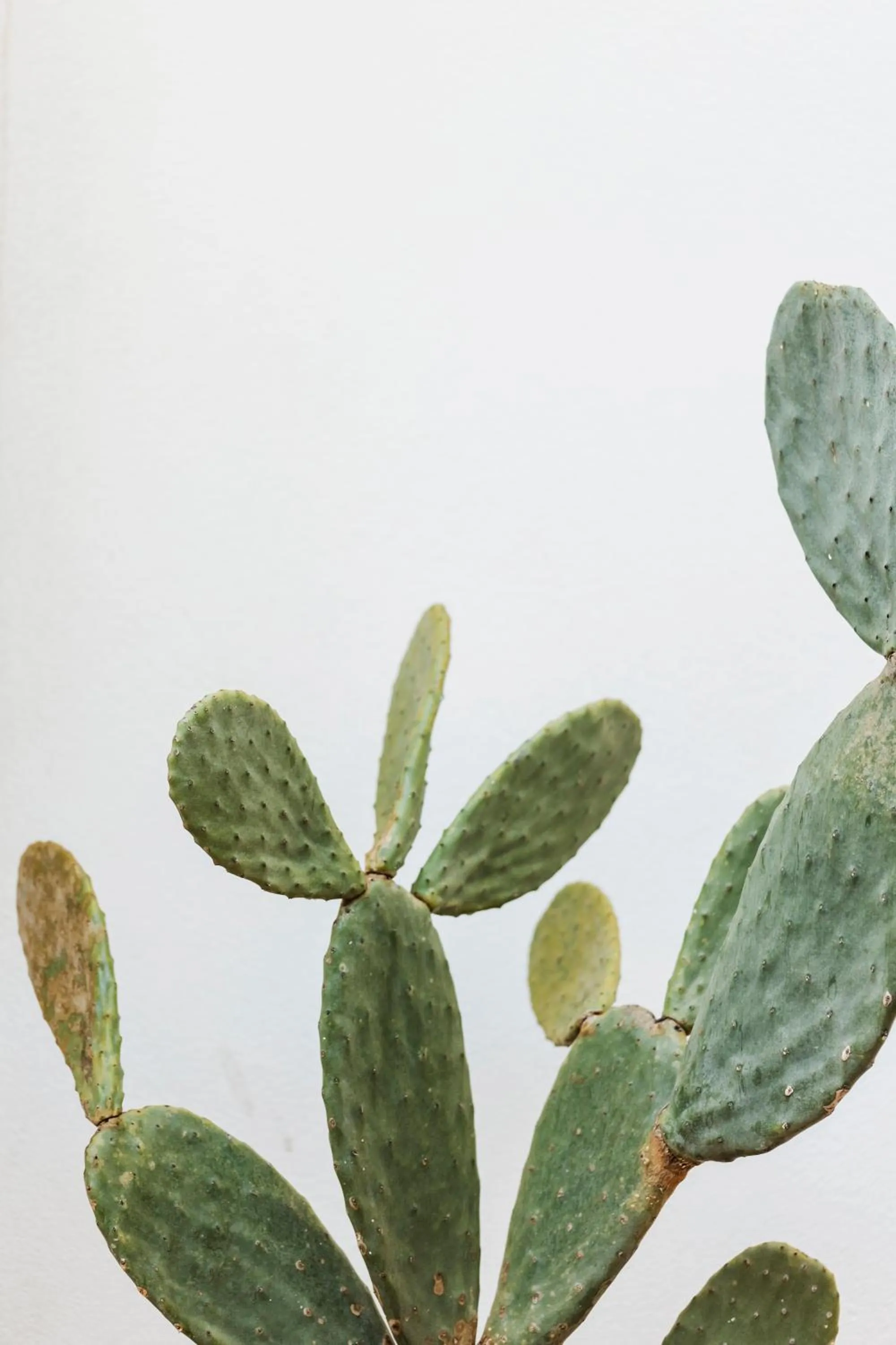 Decorative detail in Domìa Boutique Hotel e Cucina