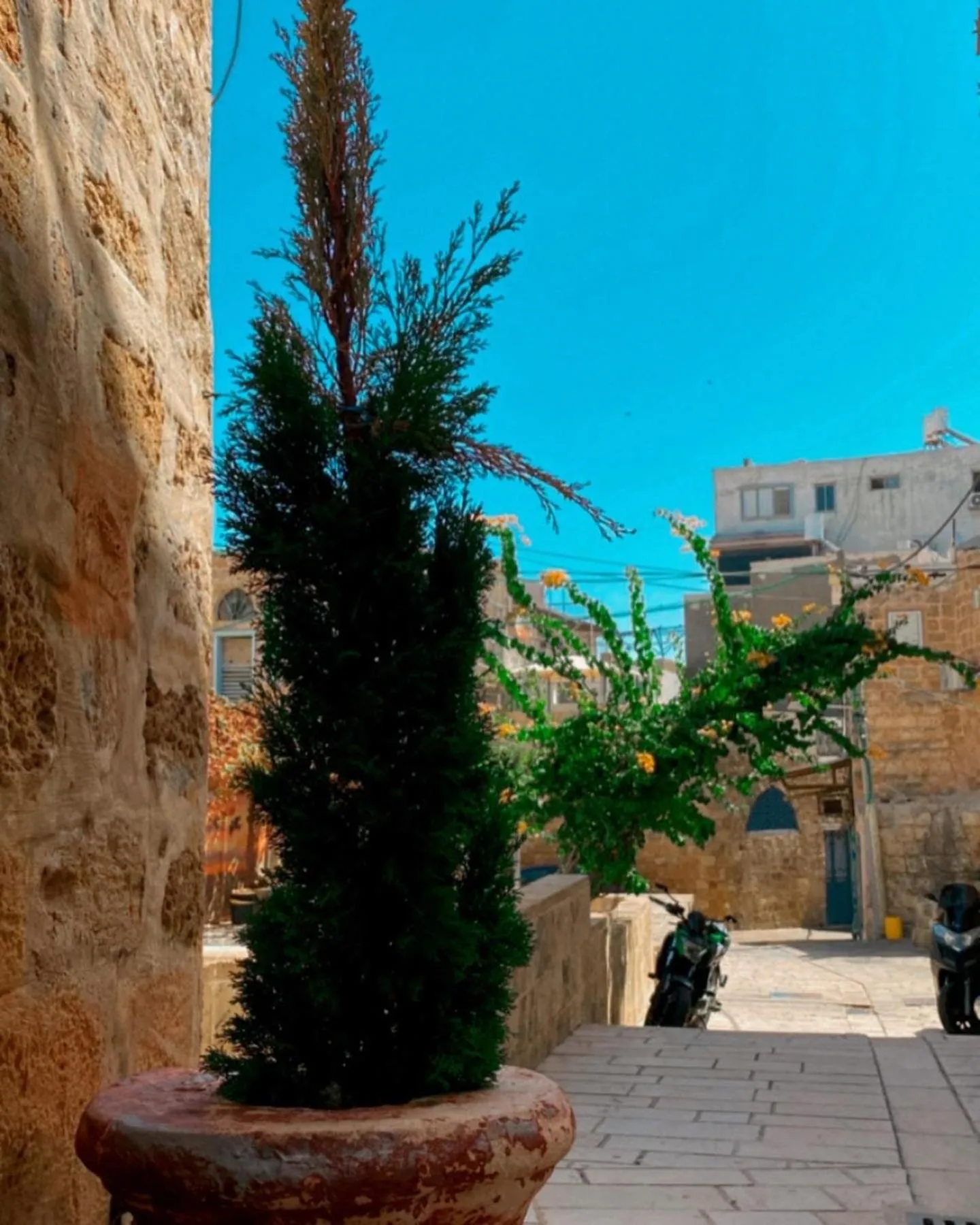 Property building in Bab al-sham funduk