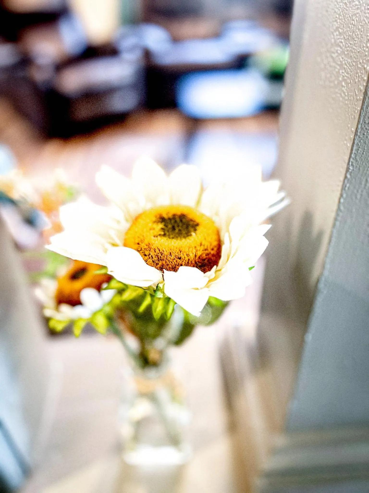 The Trotter Manor- With Private Yard & Free Parking, Minutes From Falls & Casino by Niagara Hospital