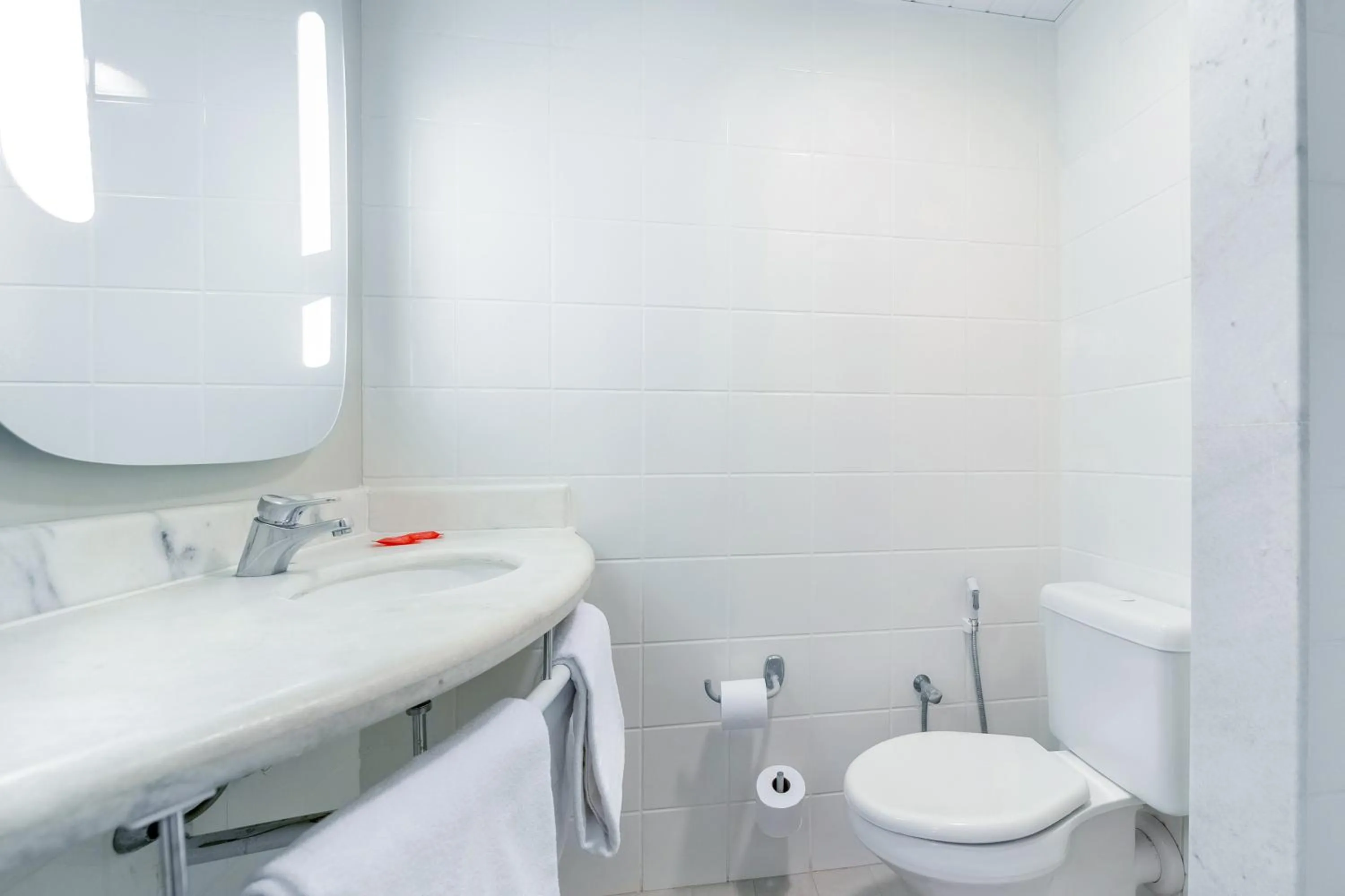 Bathroom in ibis Sao Paulo Interlagos