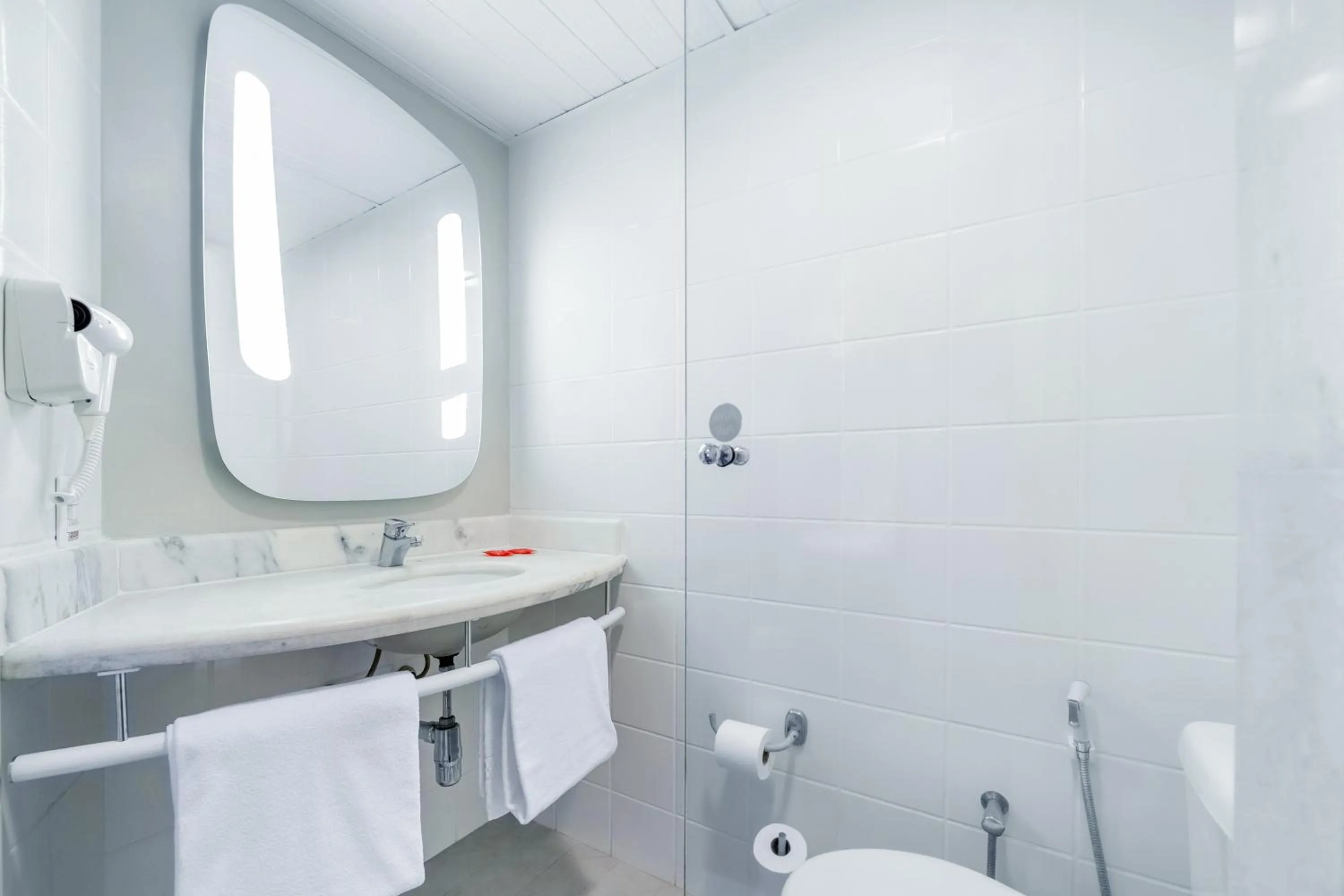 Bathroom in ibis Sao Paulo Interlagos