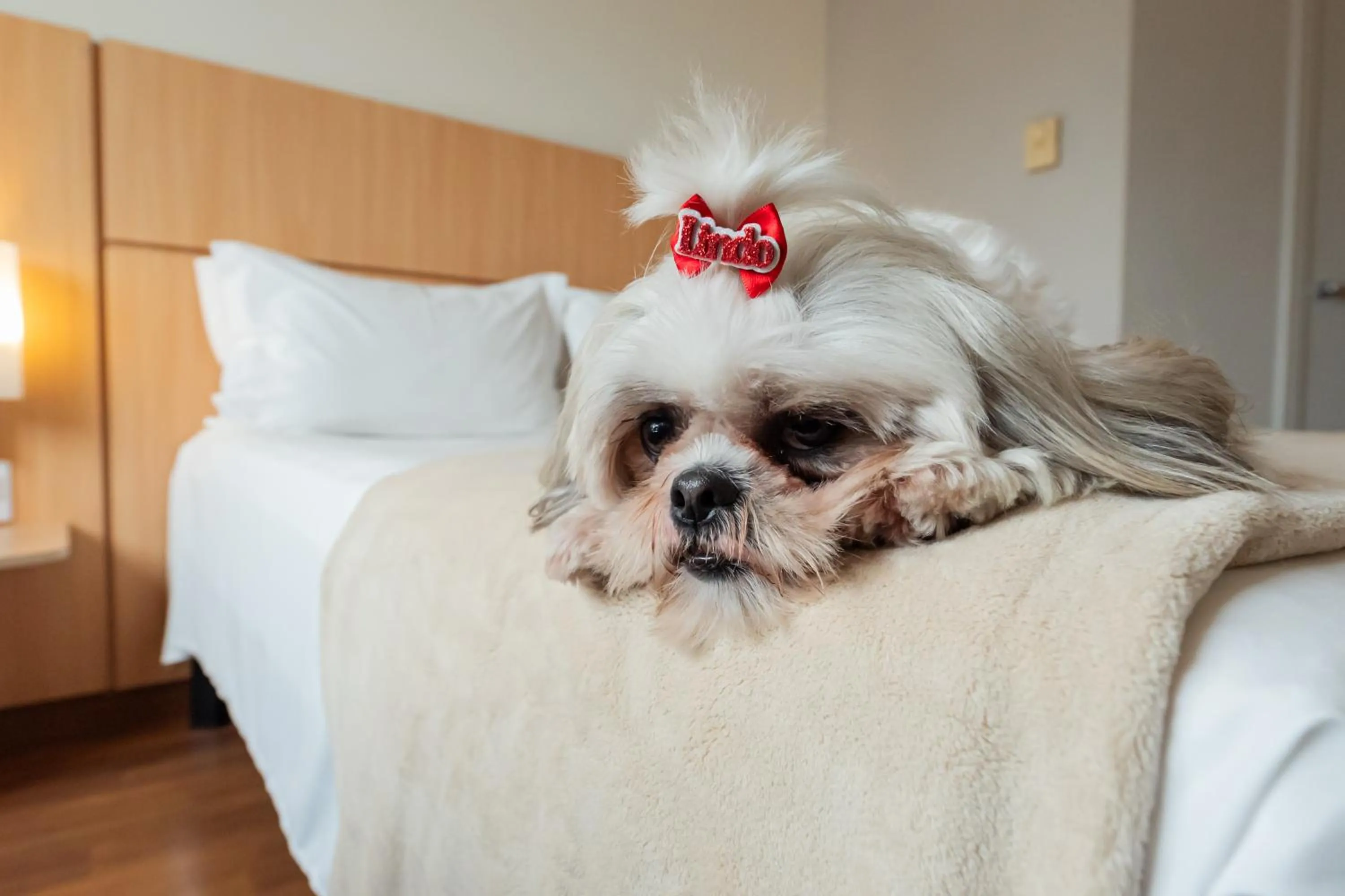 Bedroom, Bed in Ibis Florianopolis